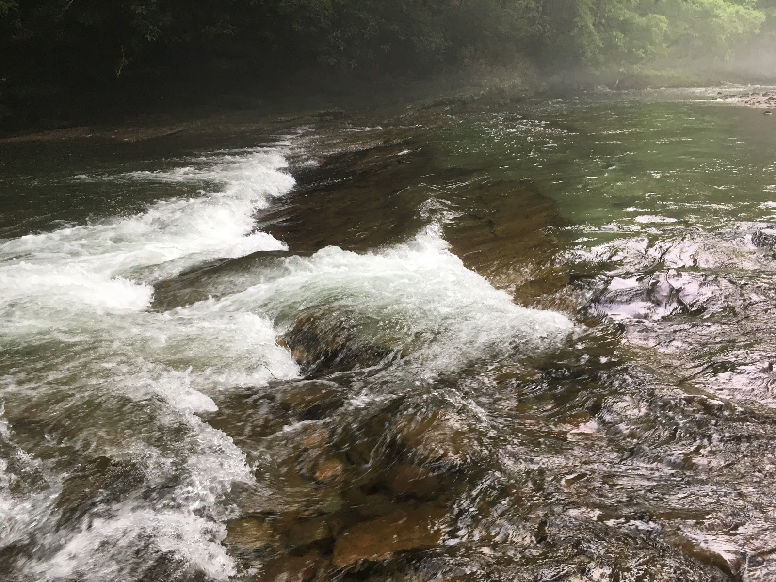 Horseshoe Rec Area NF Campground
