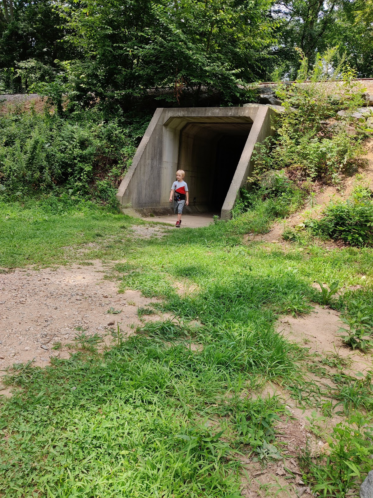 Salt Rock State Forest