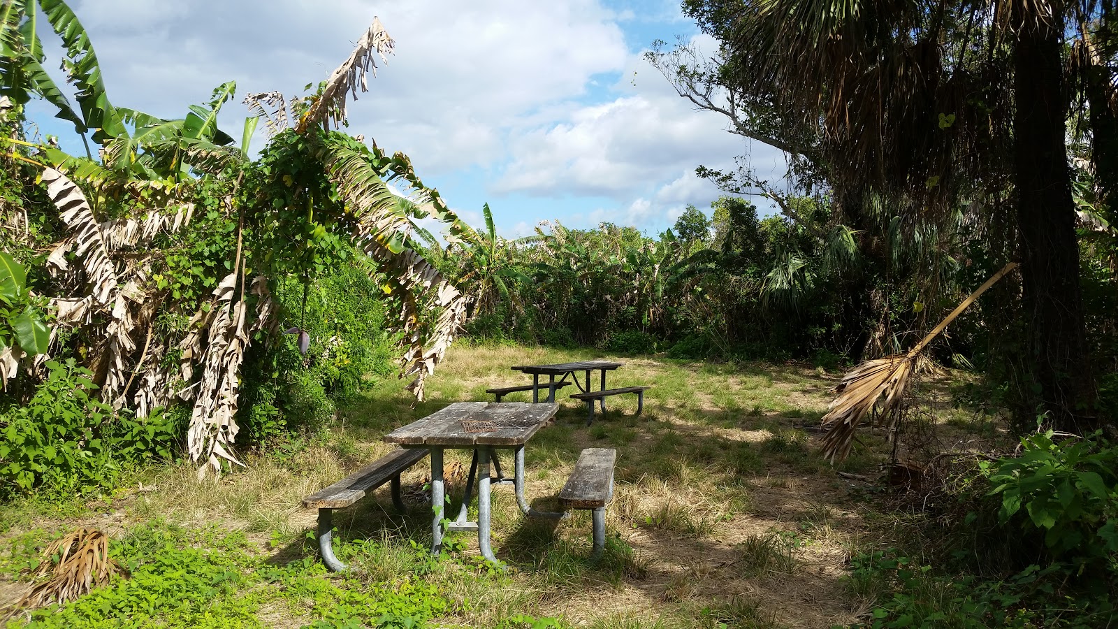 Backcountry Canepatch - Everglades National Park