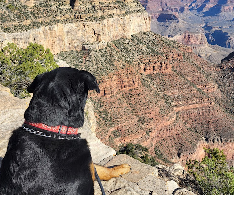 Mather Campground (NPS Campground)