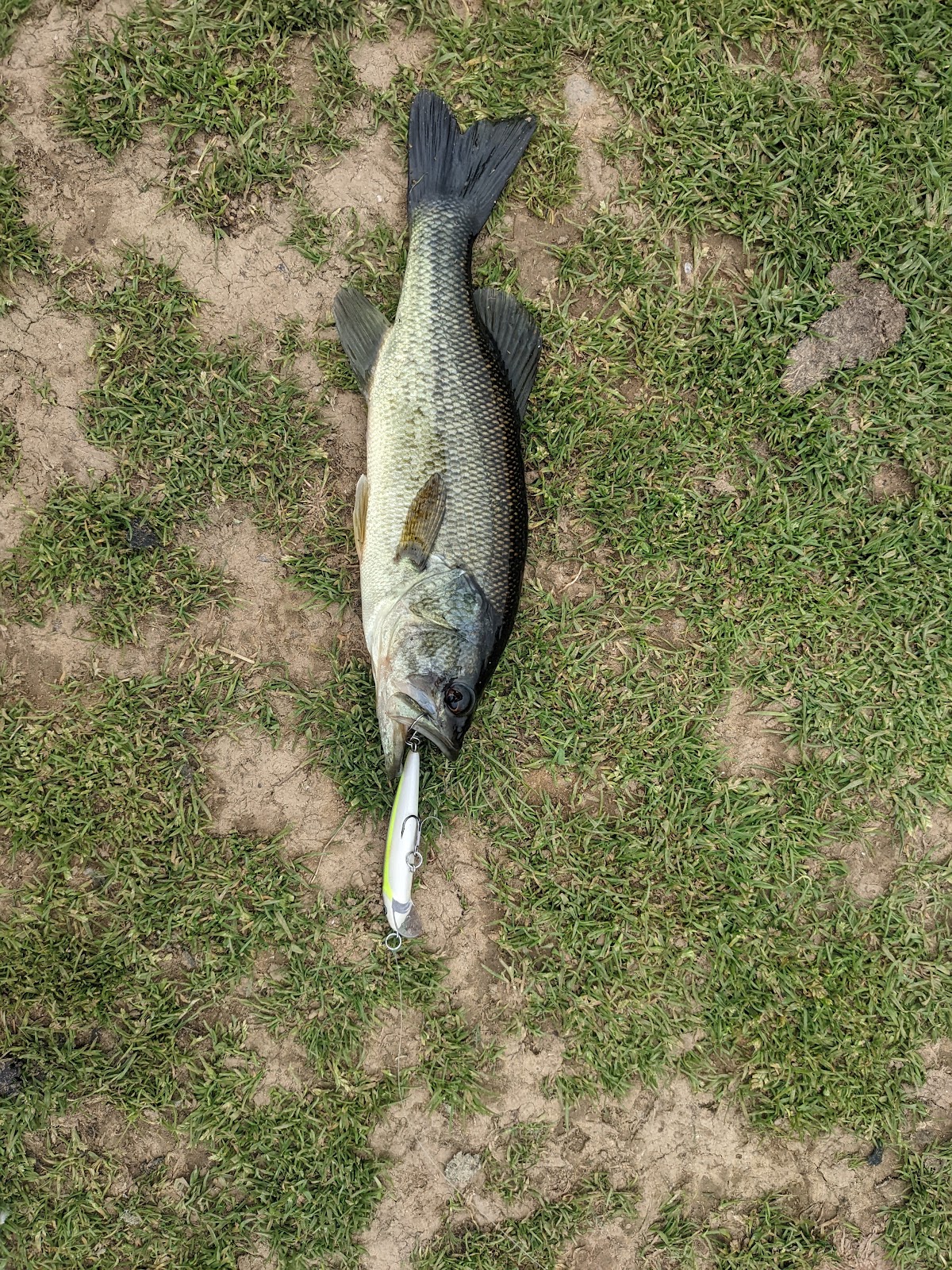 Moyers Lake and Campground