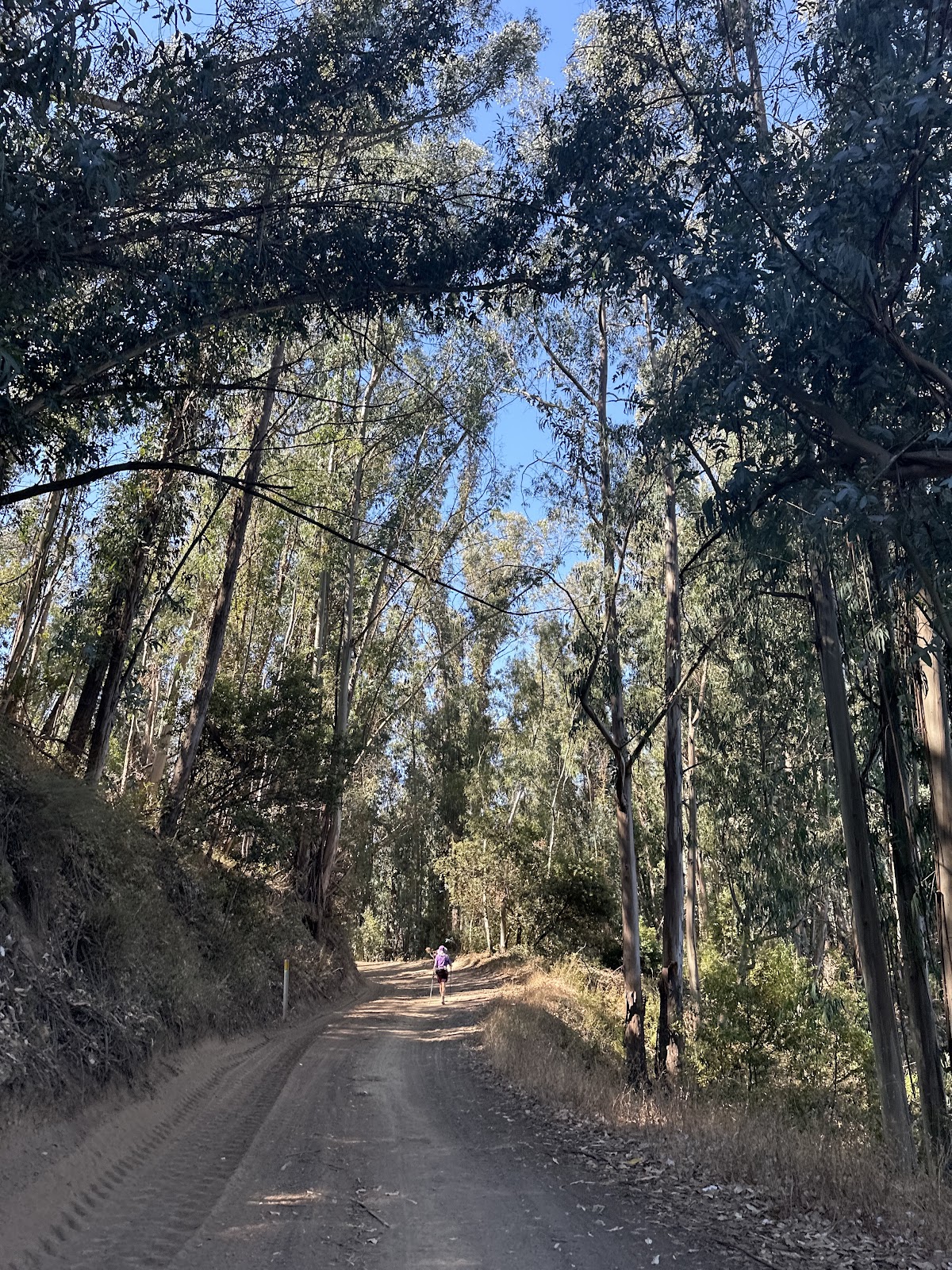 Anthony Chabot Regional Park Camping
