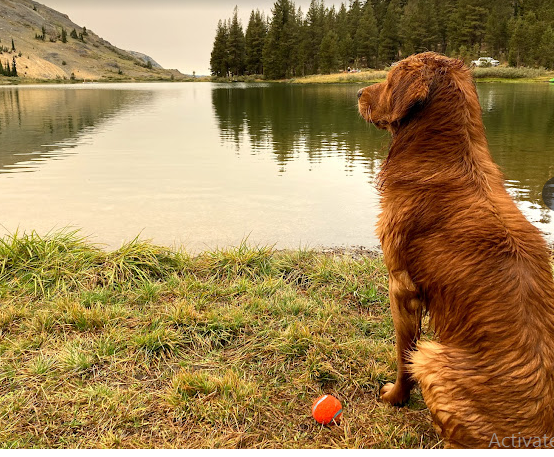 Highland Lakes Campground
