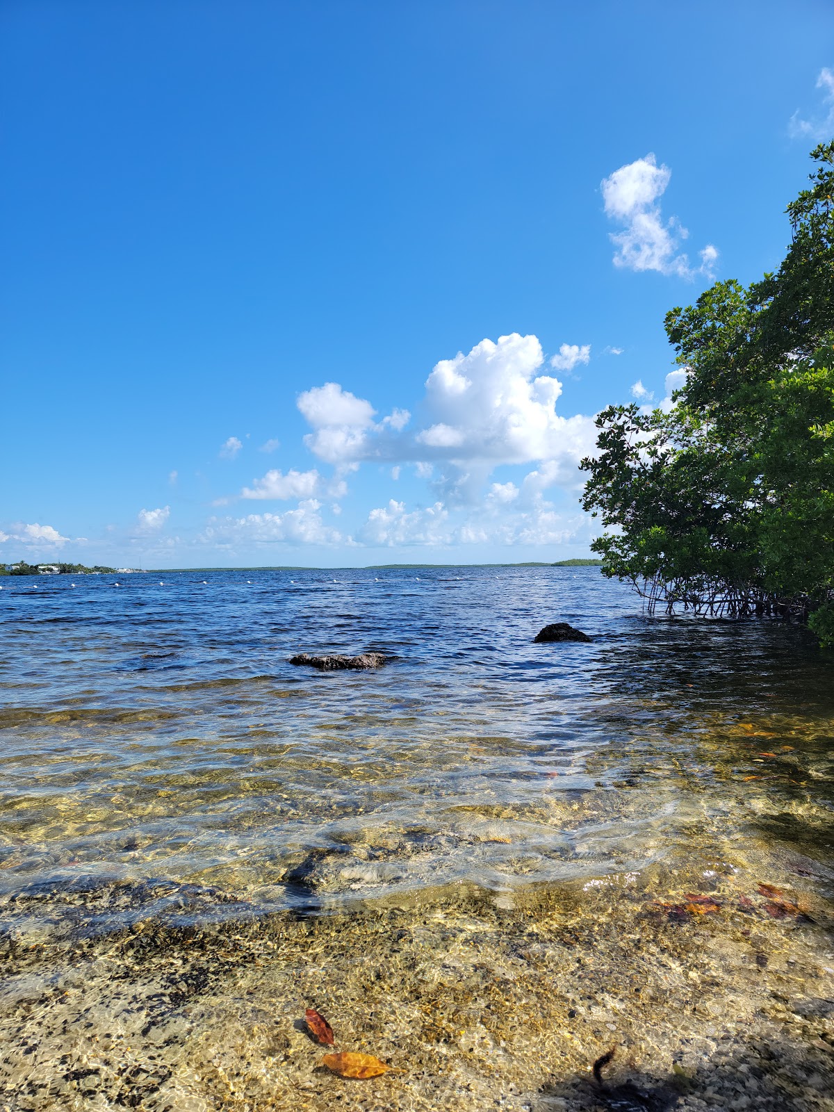 Pennekamp State Park