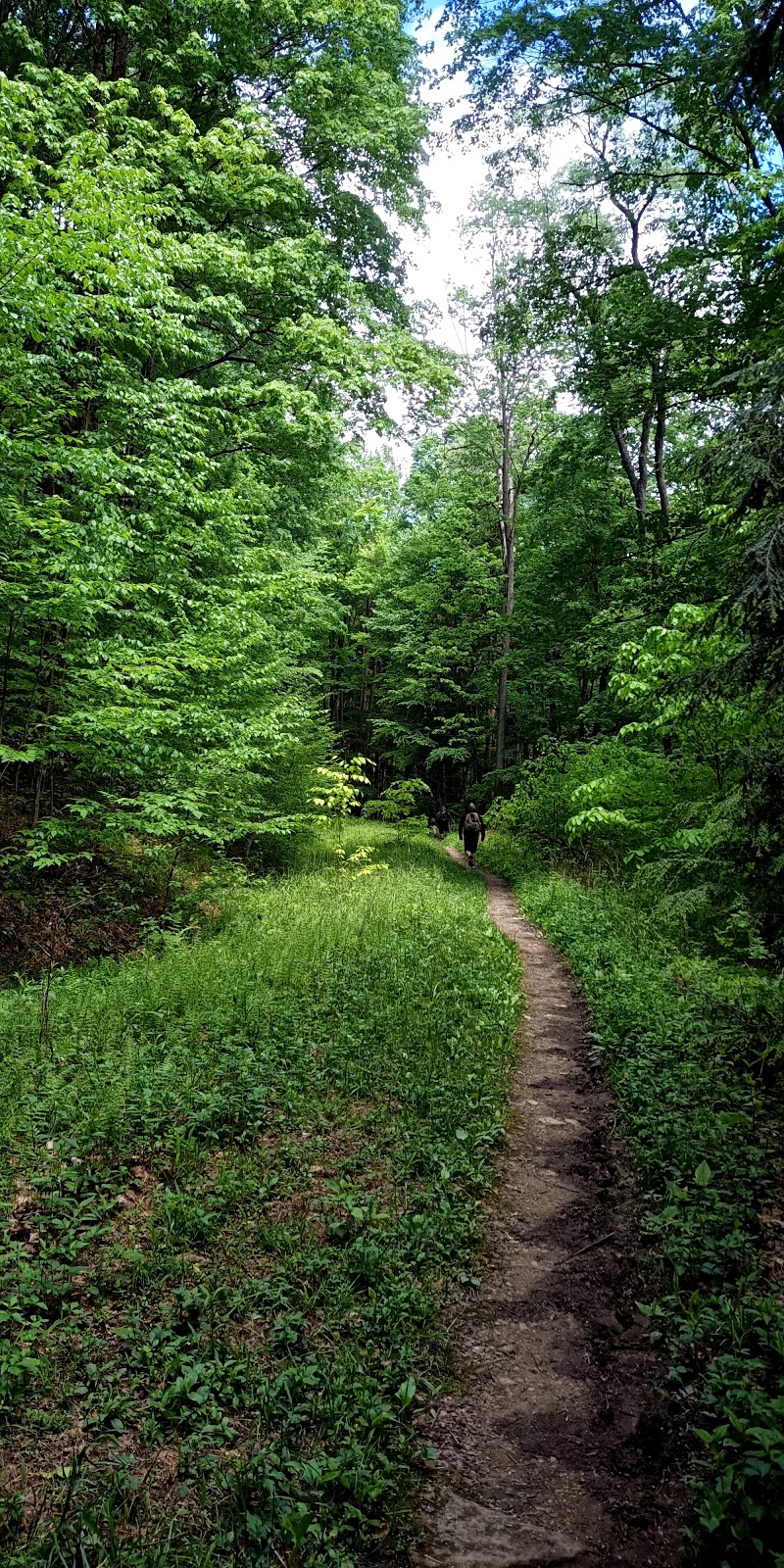 Minister Creek Campground