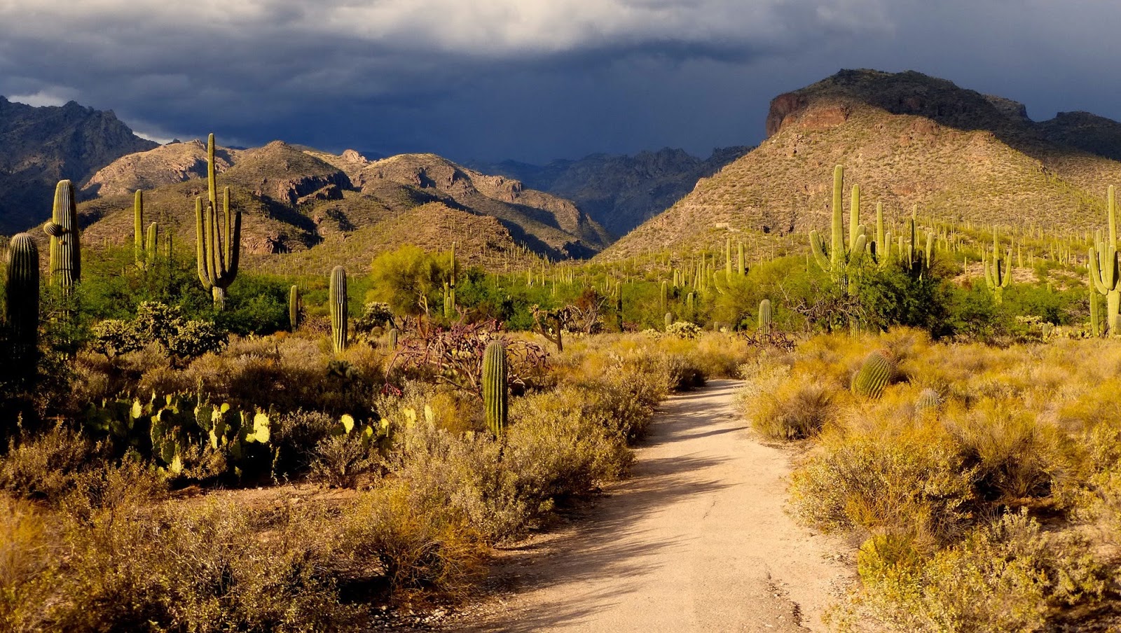 Sabino Canyon Recreation Area