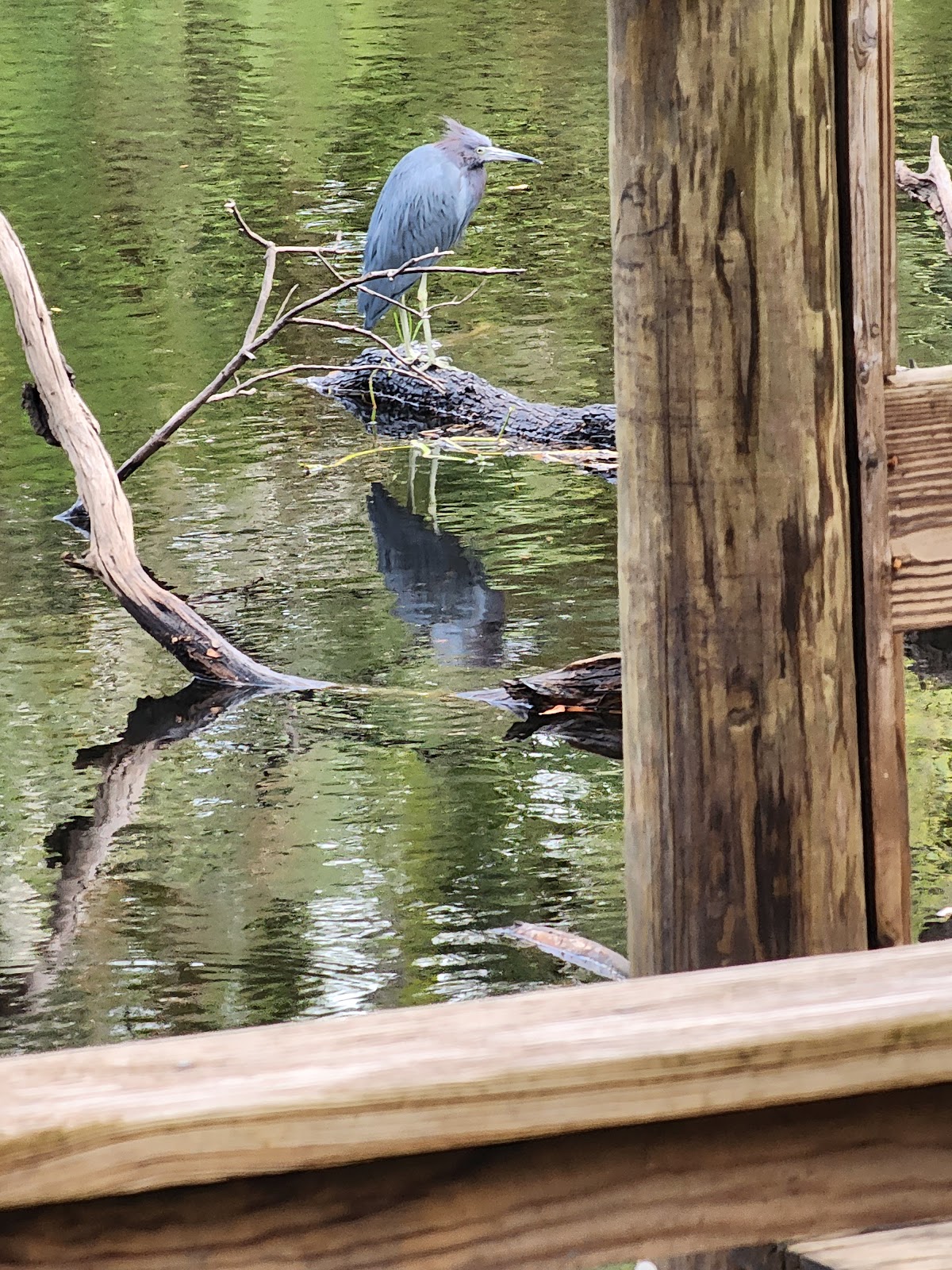 Camp Venice RV Resort