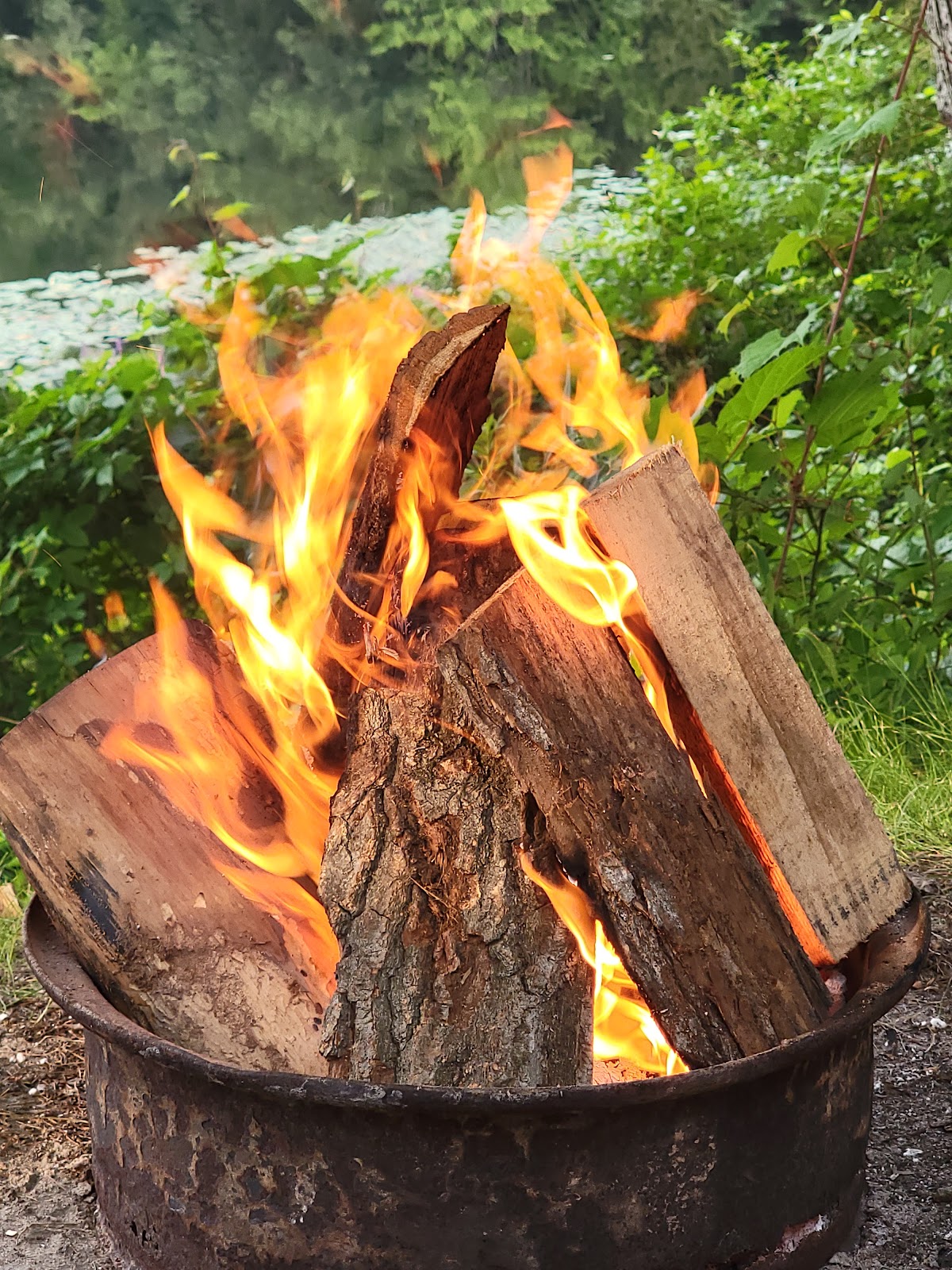 Blue Gill Lake Campground
