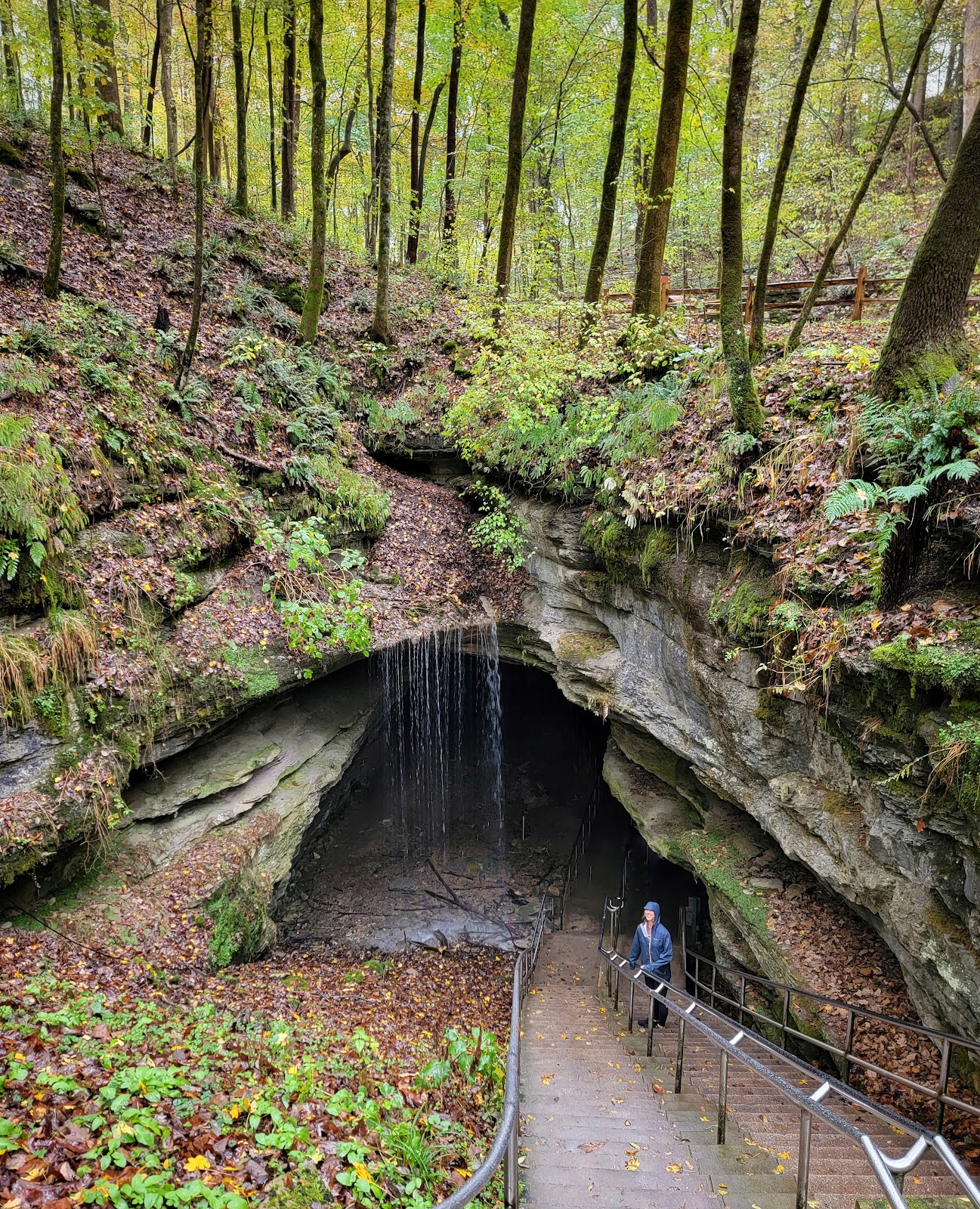 Mammoth Cave National Park