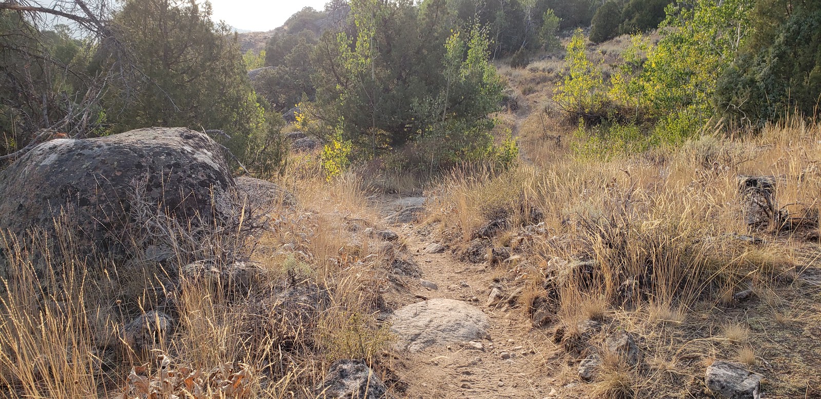 Half Moon Lake Campground