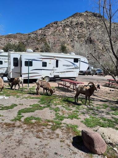 North Clifton RV Park