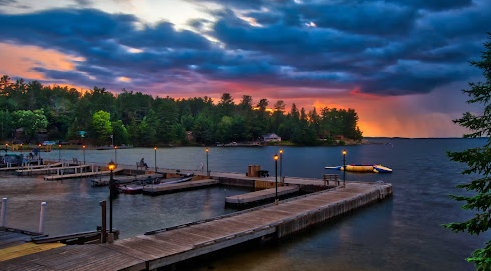 The Pines of Kabetogama