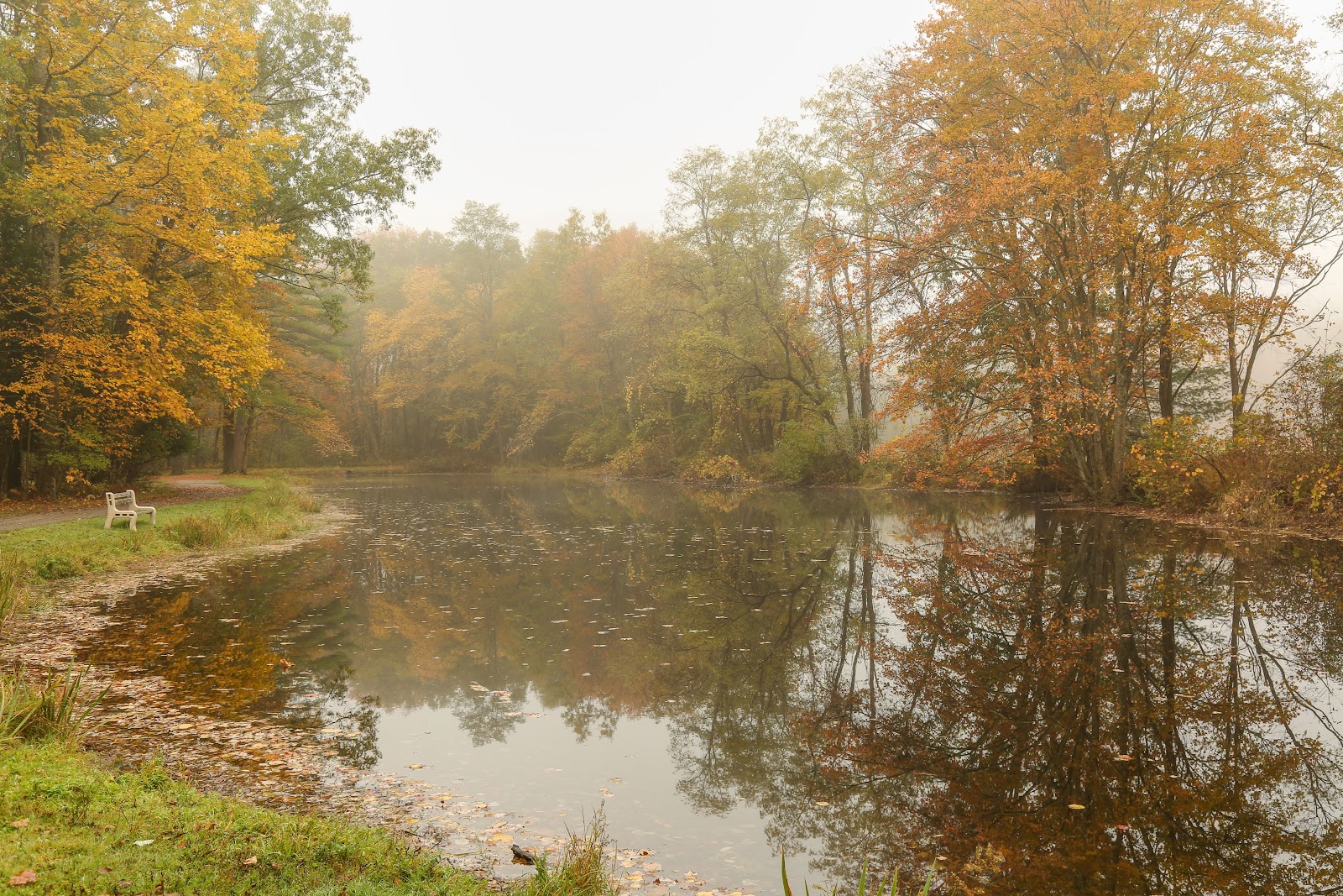 Deerpark / New York City NW KOA Holiday