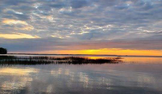 Bay County Pinconning Park
