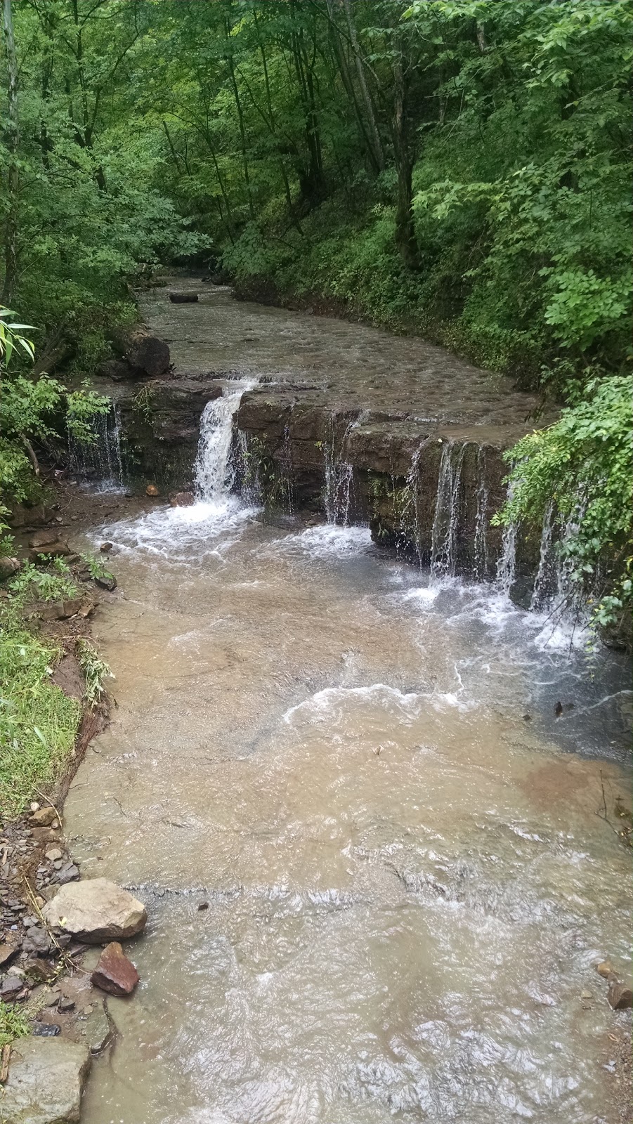 Bluestone Wildlife Management Area