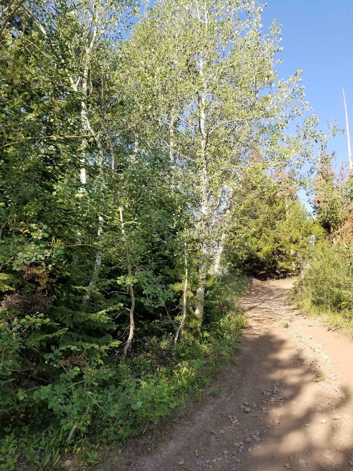 Porcupine Springs Campground