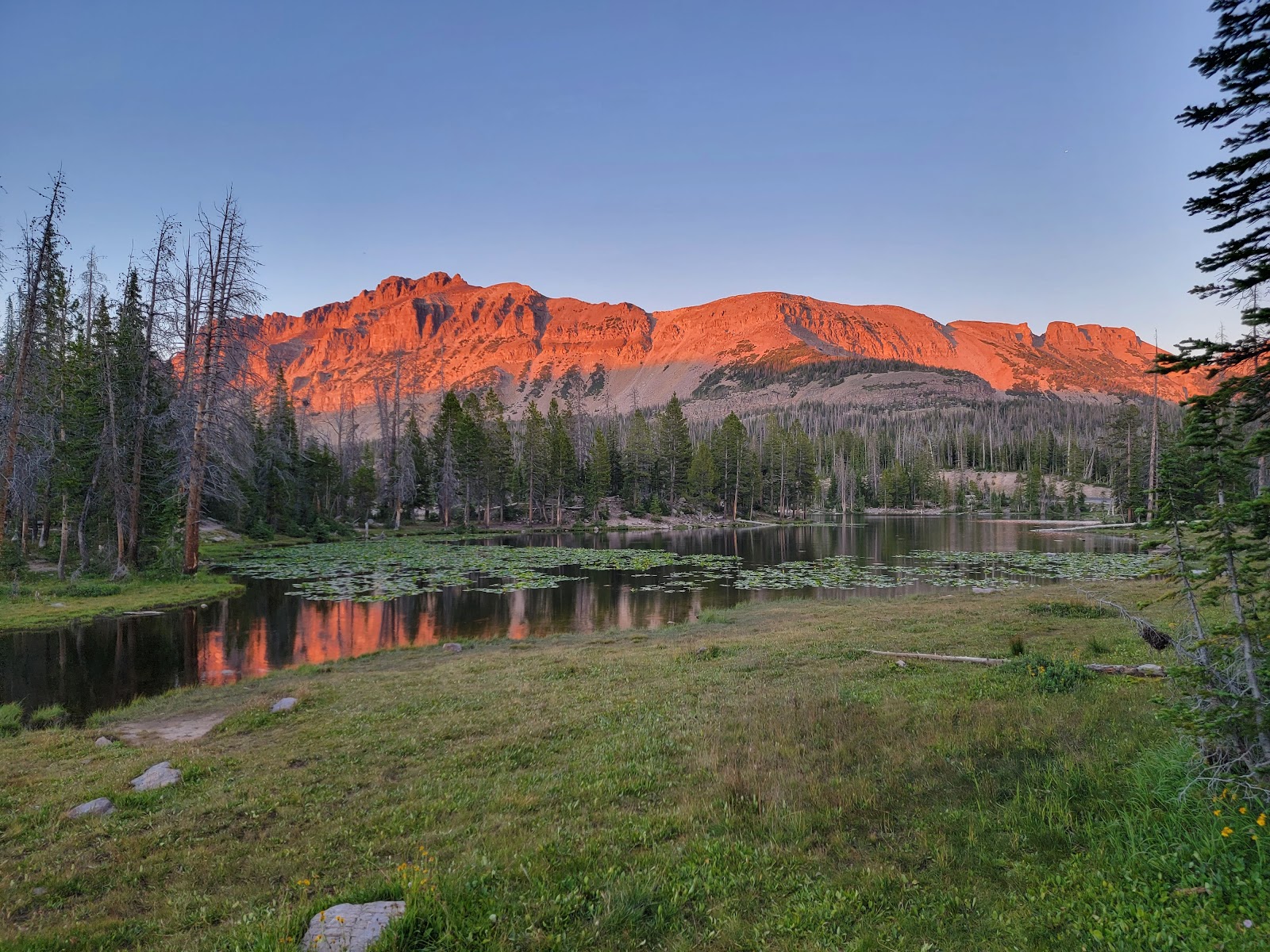 Butterfly Campground