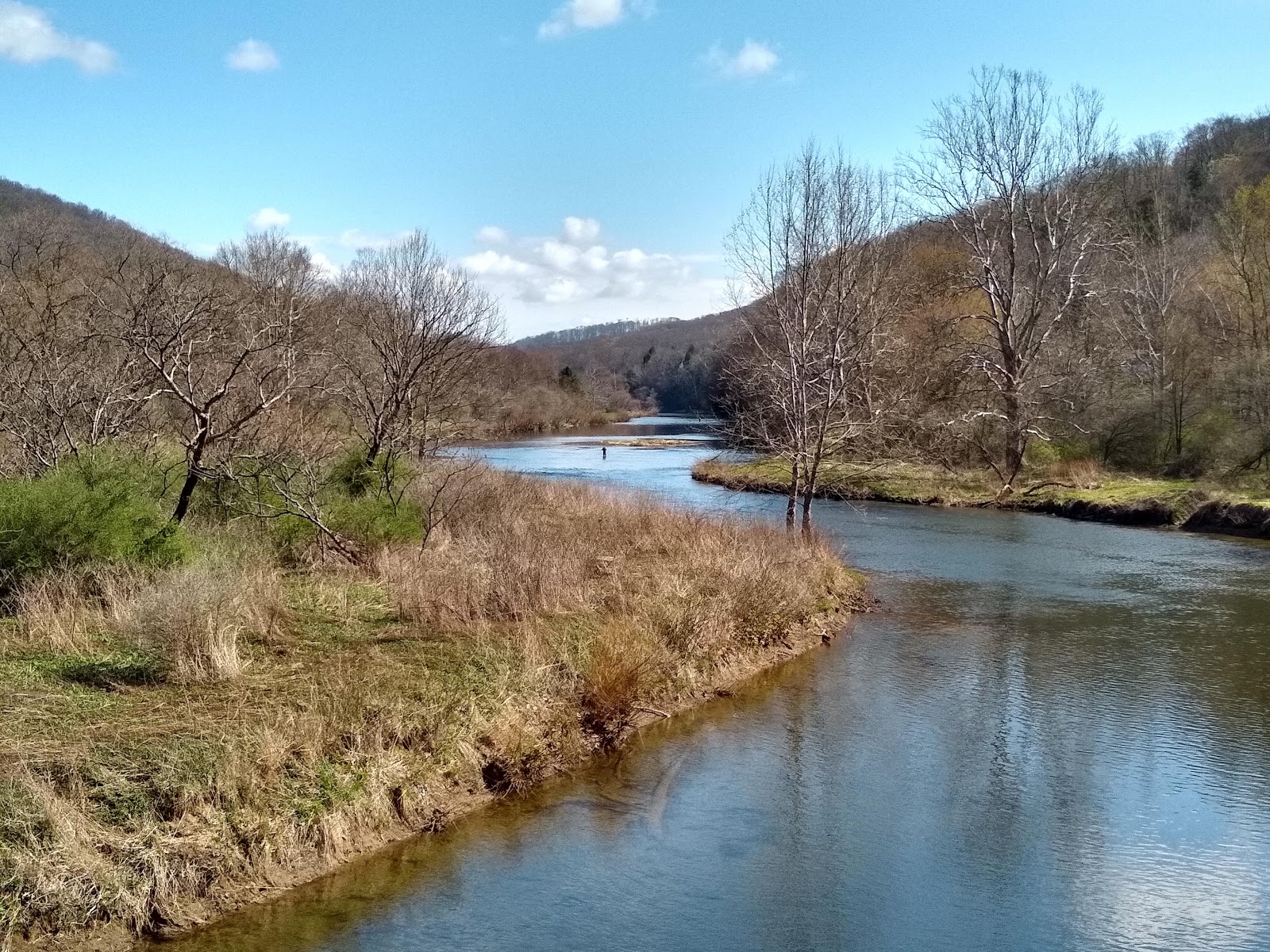 Kellettville Rec Area Tionesta Lake