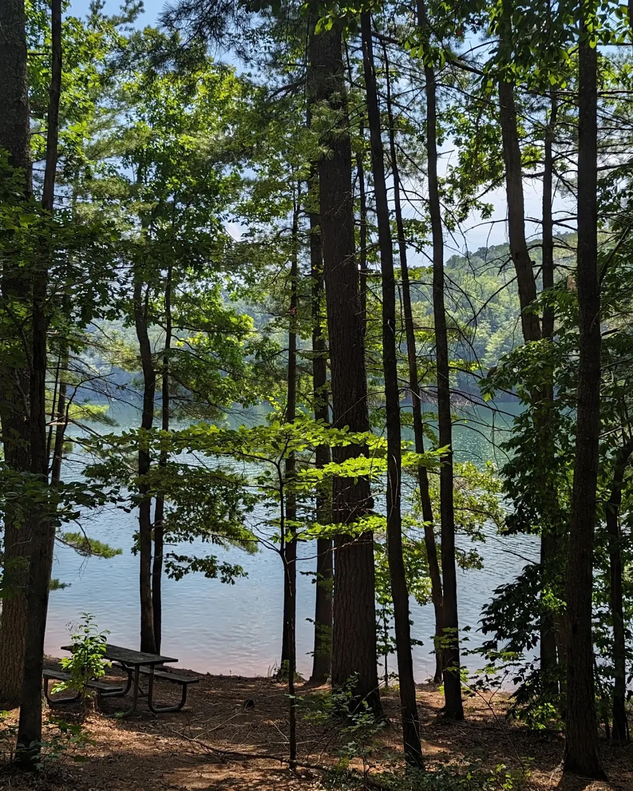 Horseshoe Point Camping