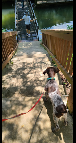 Gene's Trout Fishing Resort