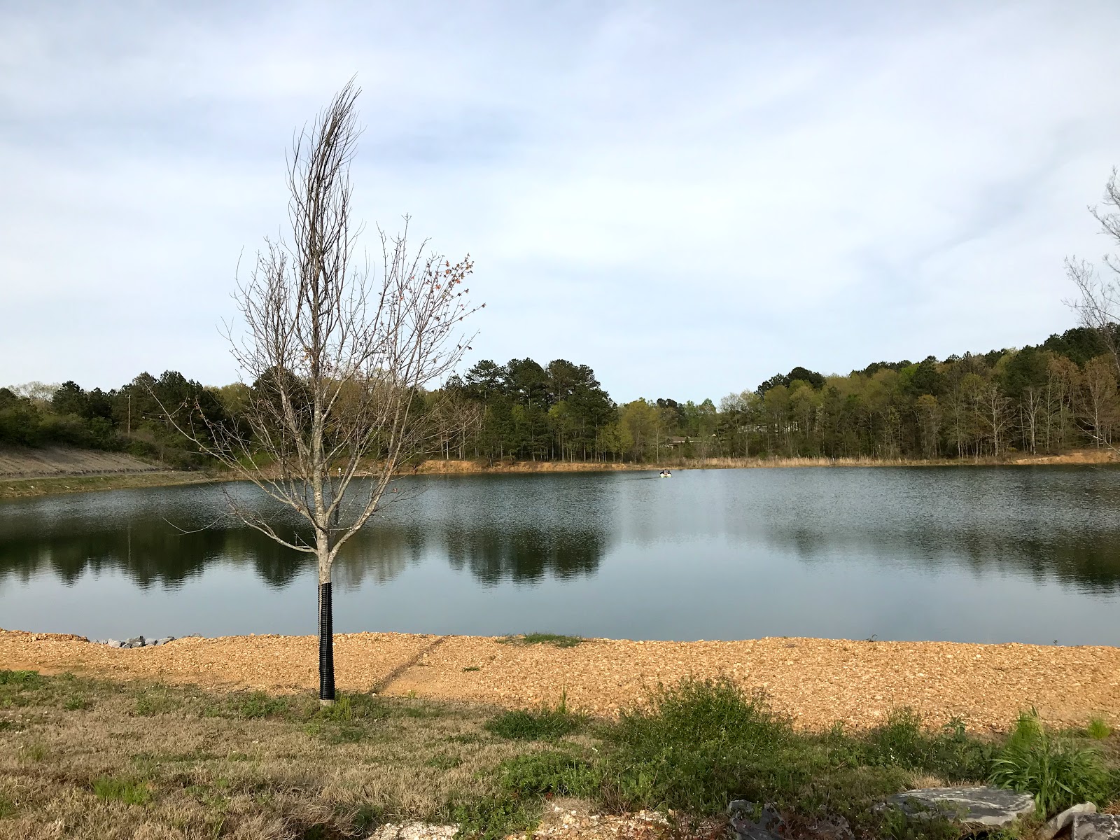 The Cove Rv Resort and Campground