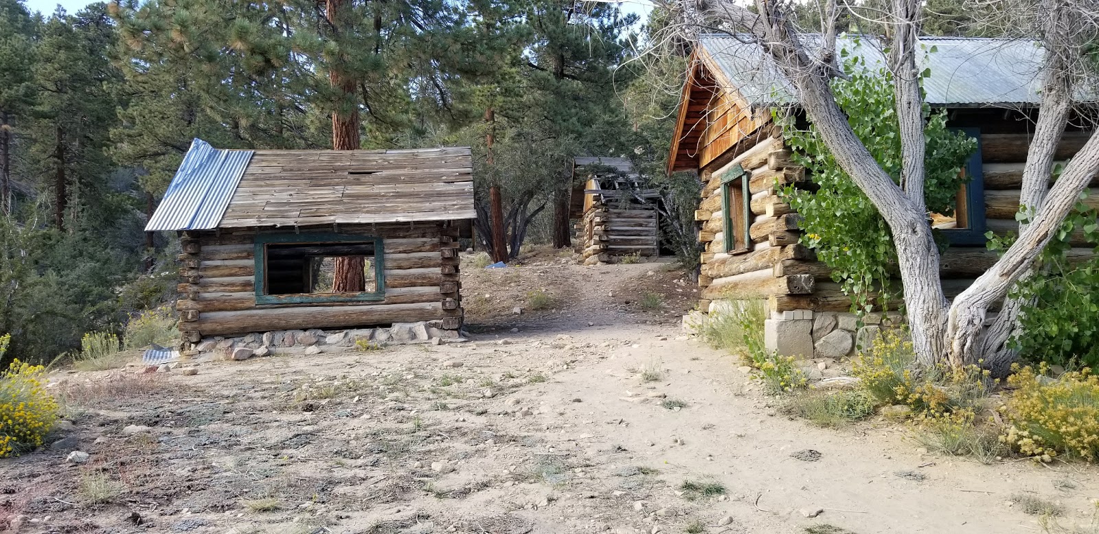 Wild Horse Equestrian Campground
