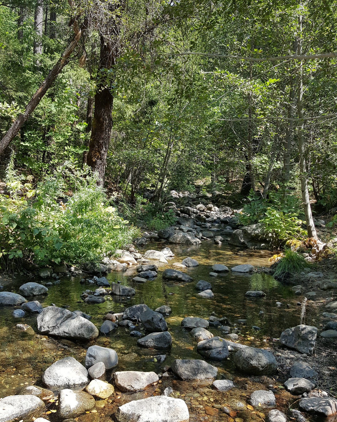 Moore Creek Campground