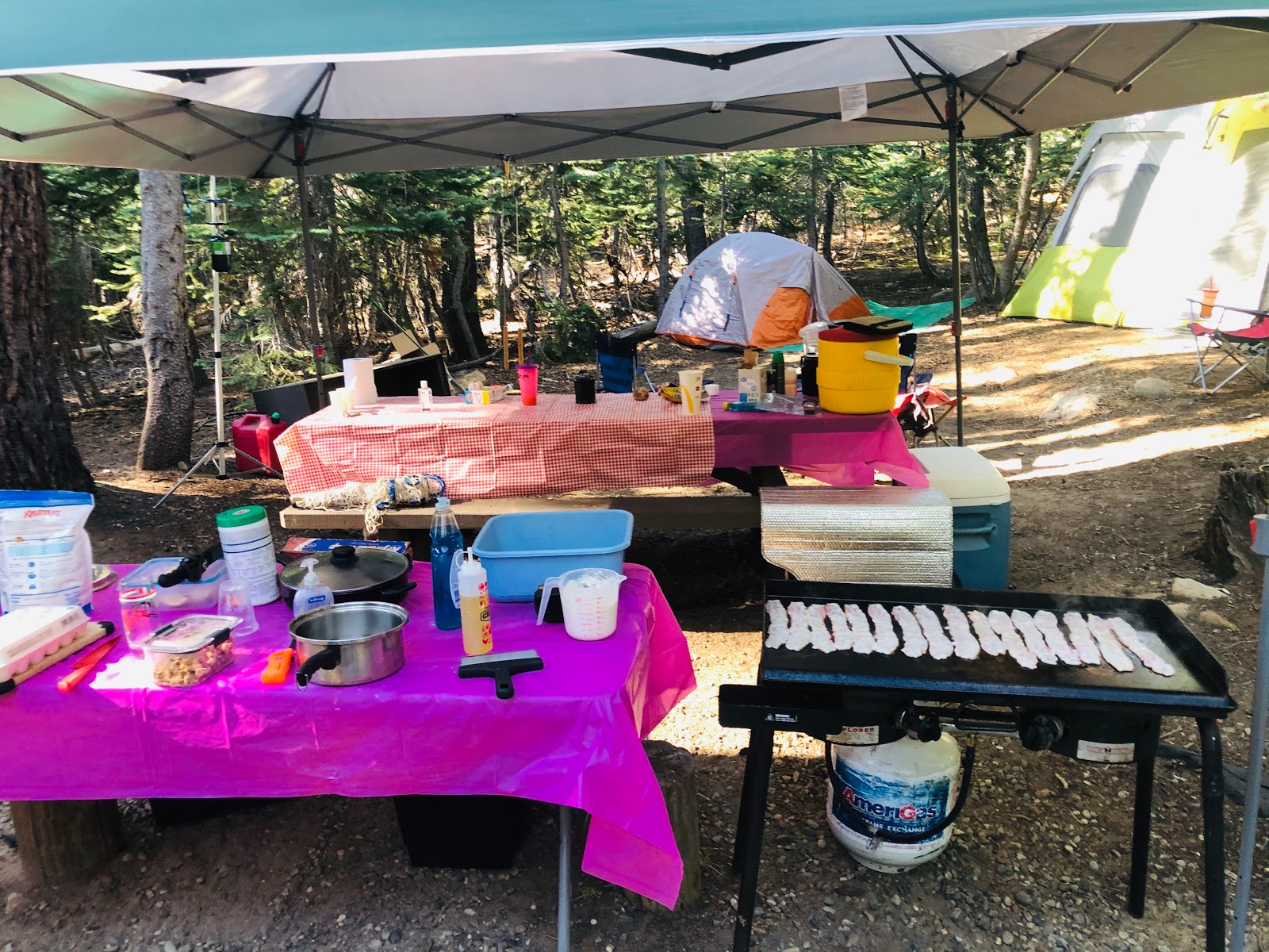 Trapper Springs Campground