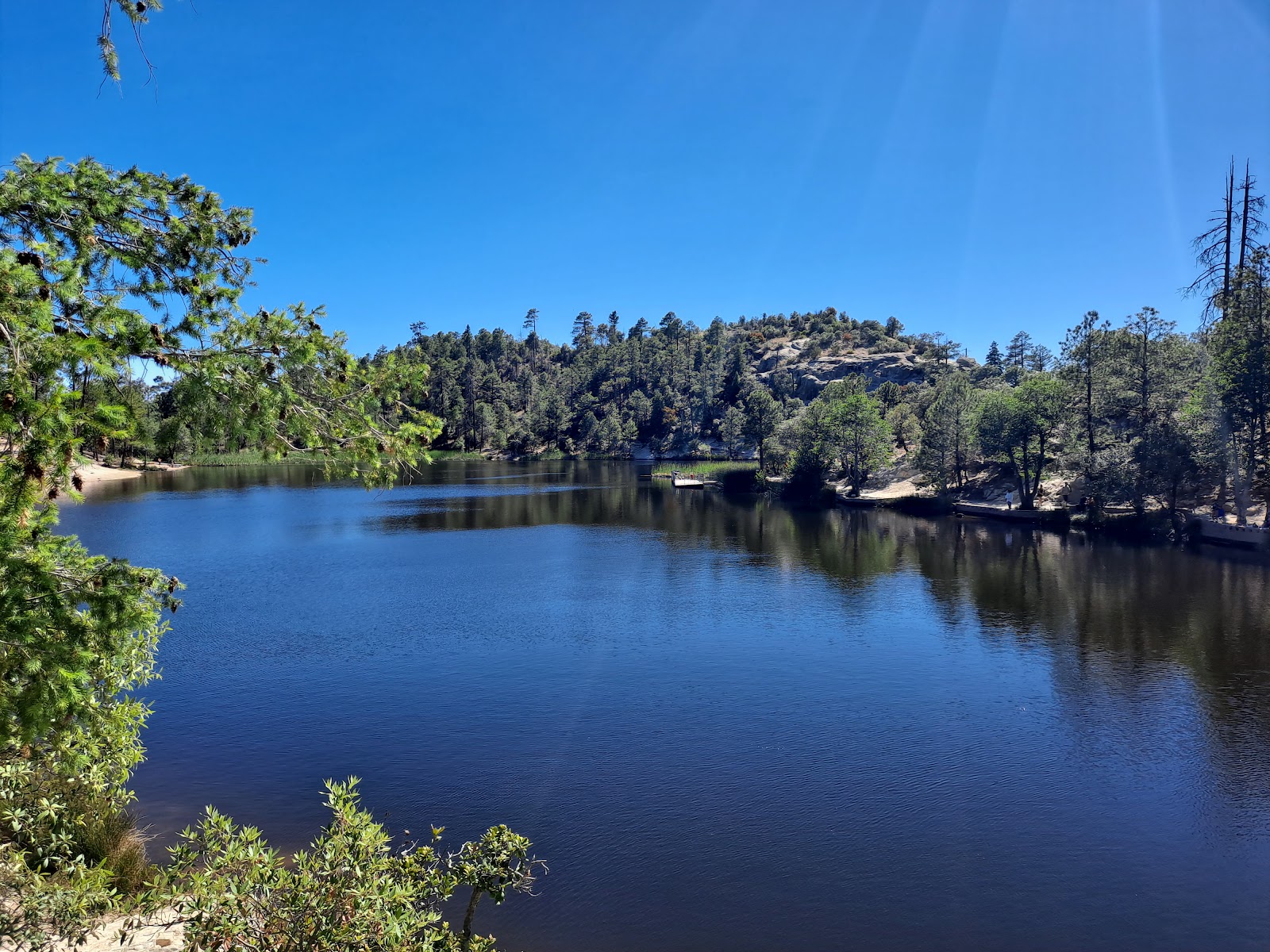 Rose Canyon Campground