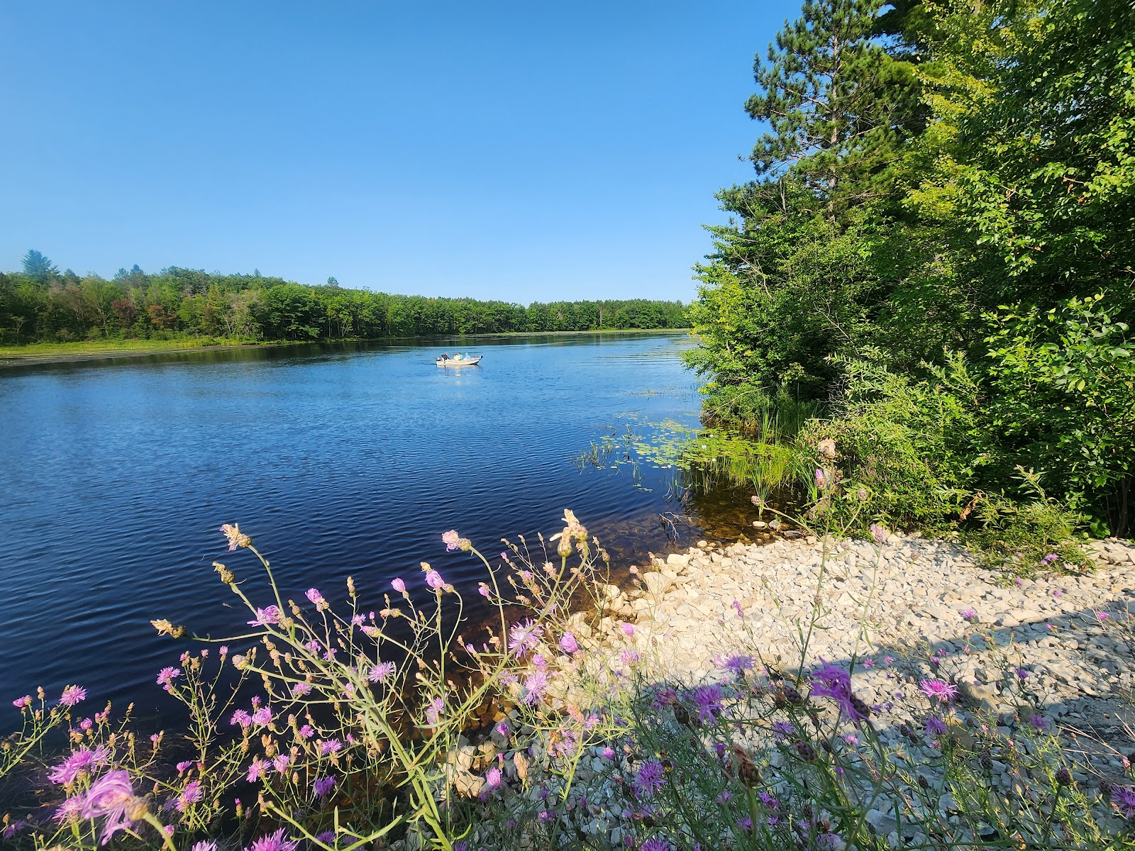 Reedsburg Dam SF Campground
