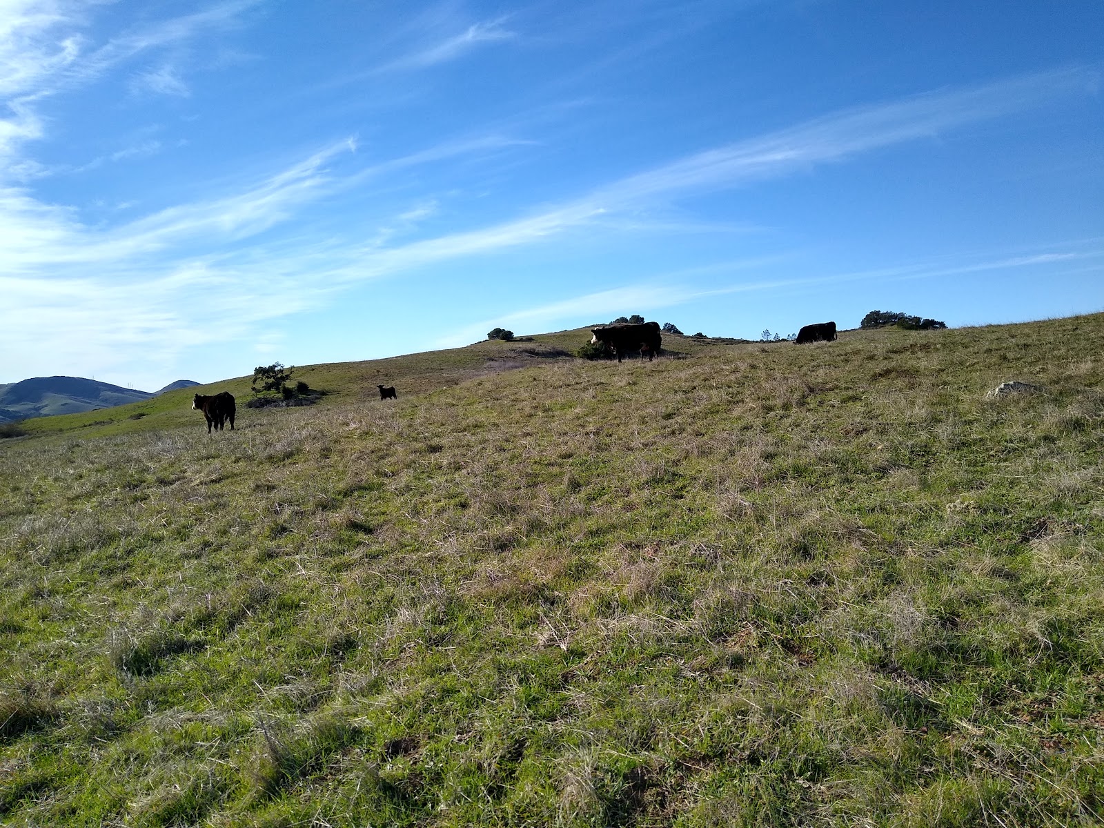 El Chorro Regional Park