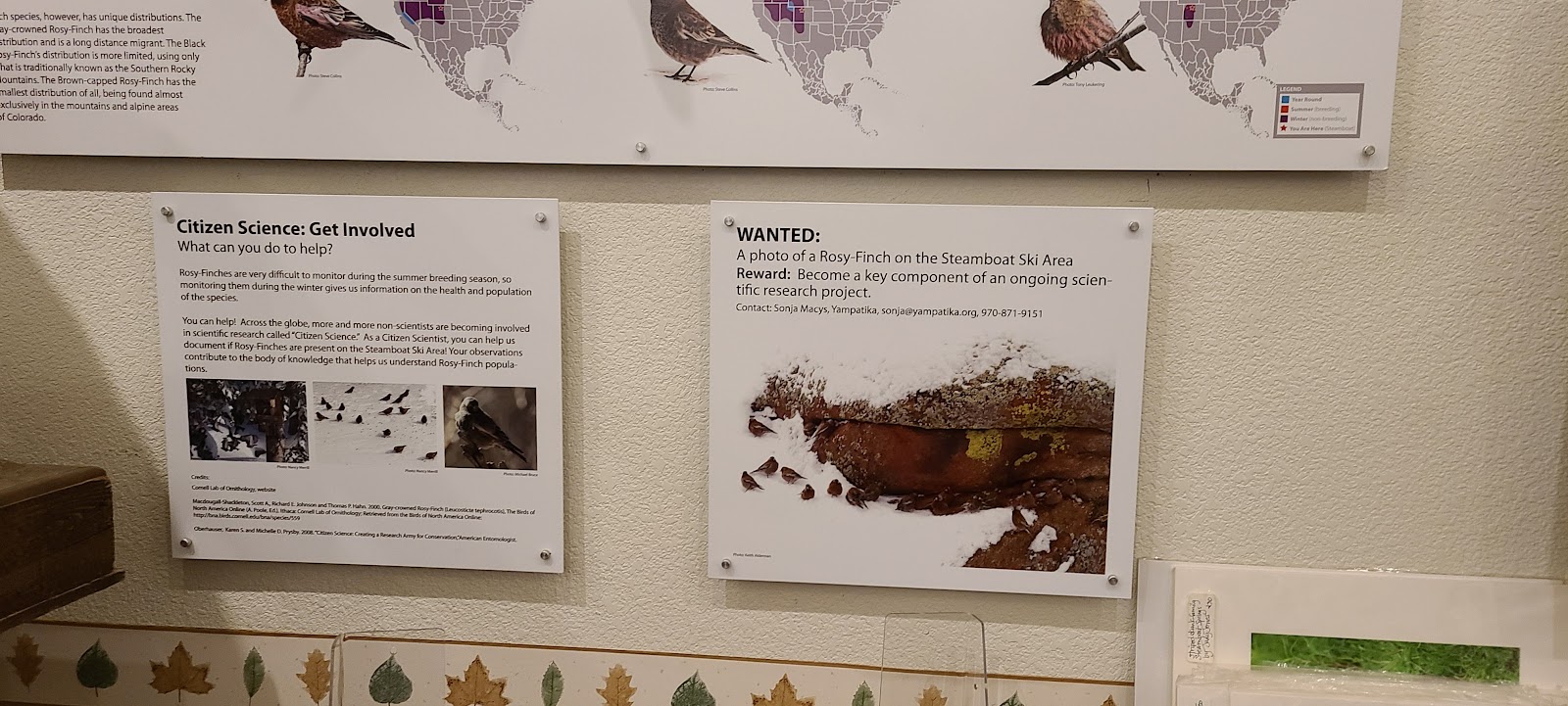 Hahns Peak Lake Campground