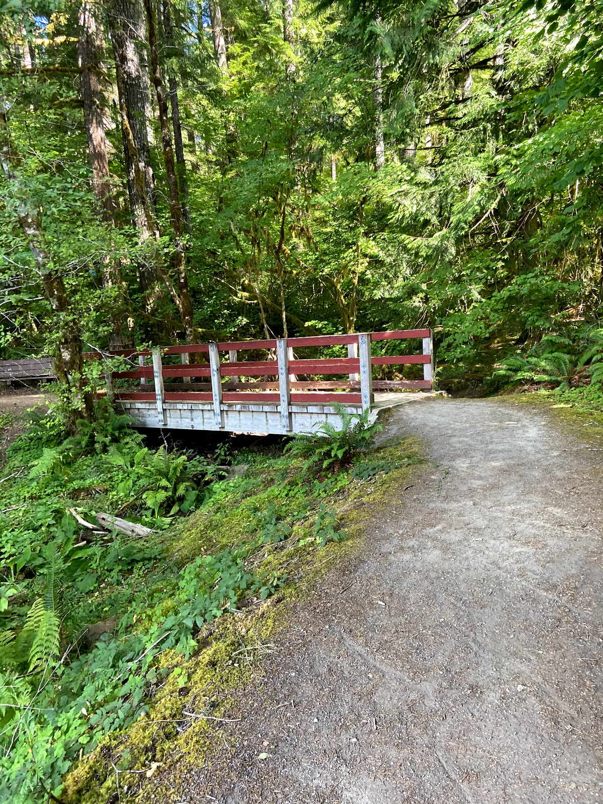 Cove Creek Campground