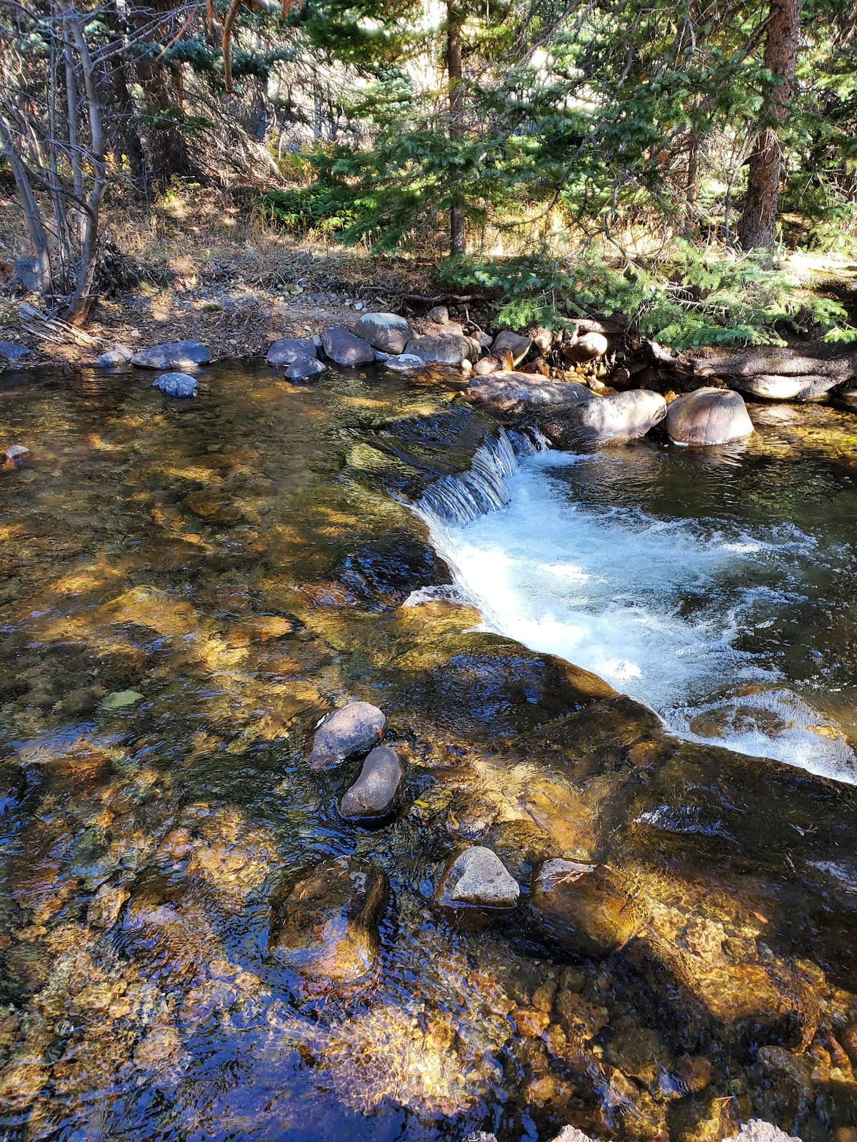 Camp Dick Campground