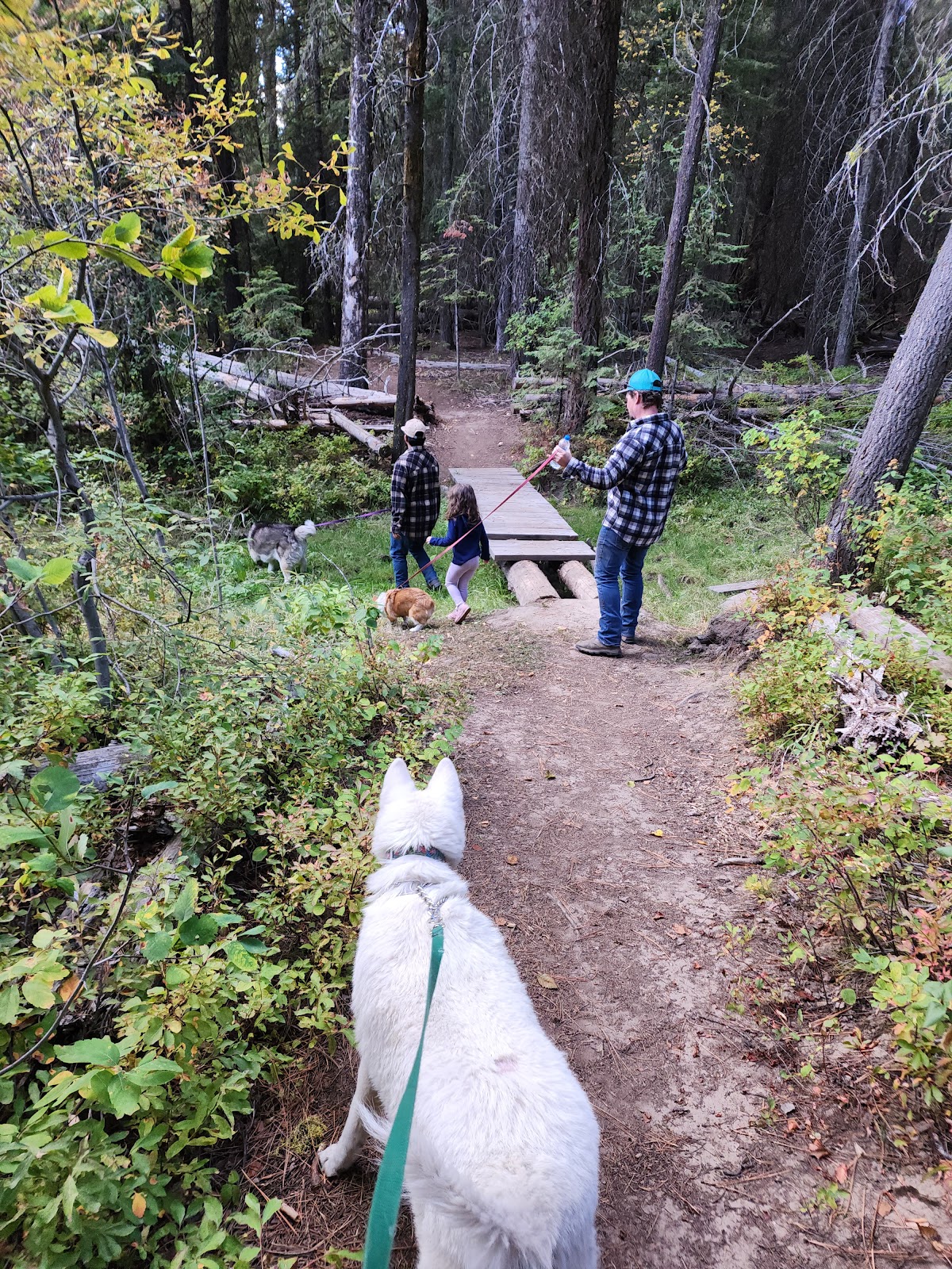 Antelope (Boise National Forest, ID)
