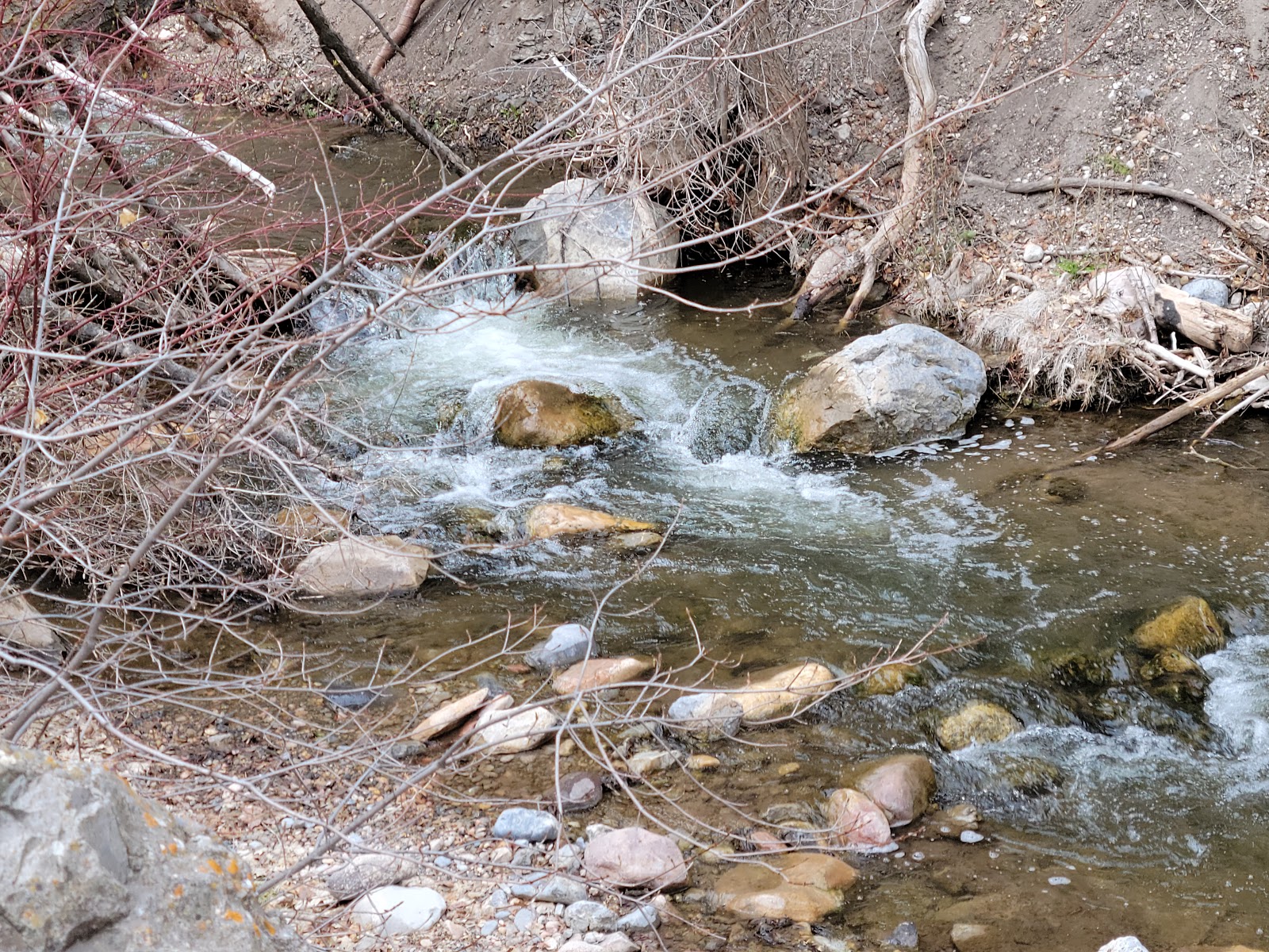 Maple Bench Campground
