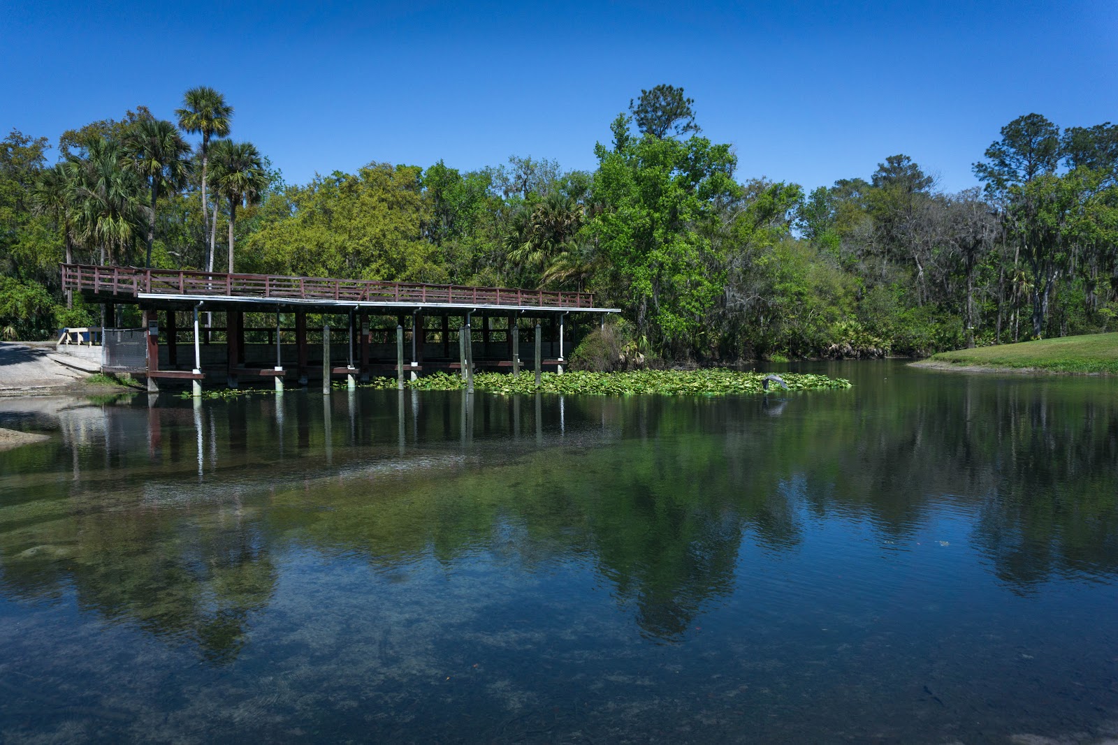 Wekiva Falls RV Resort