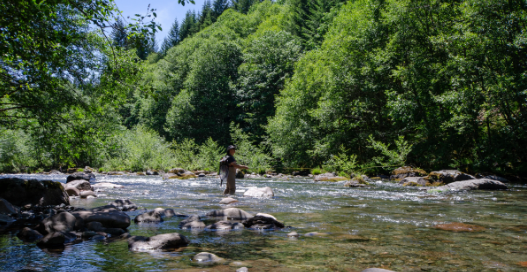 Breitenbush Campground
