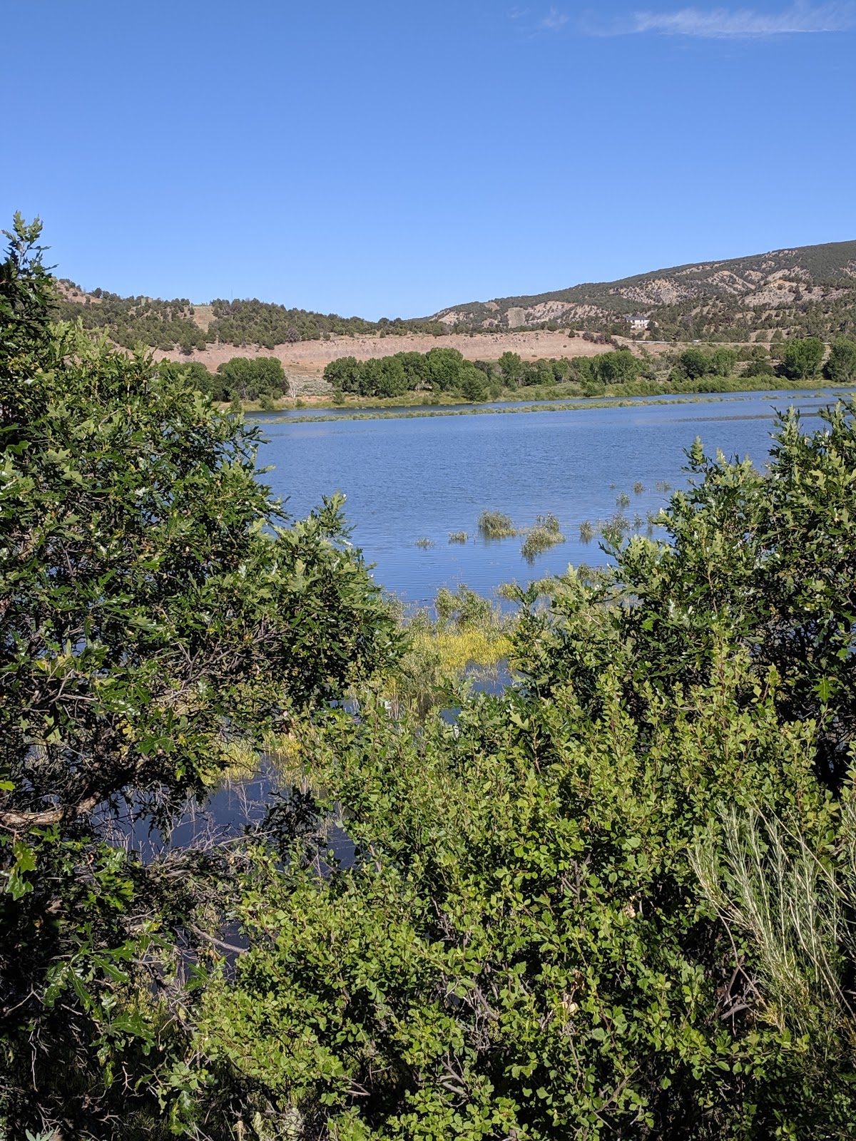 Arboles Point - Navajo State Park