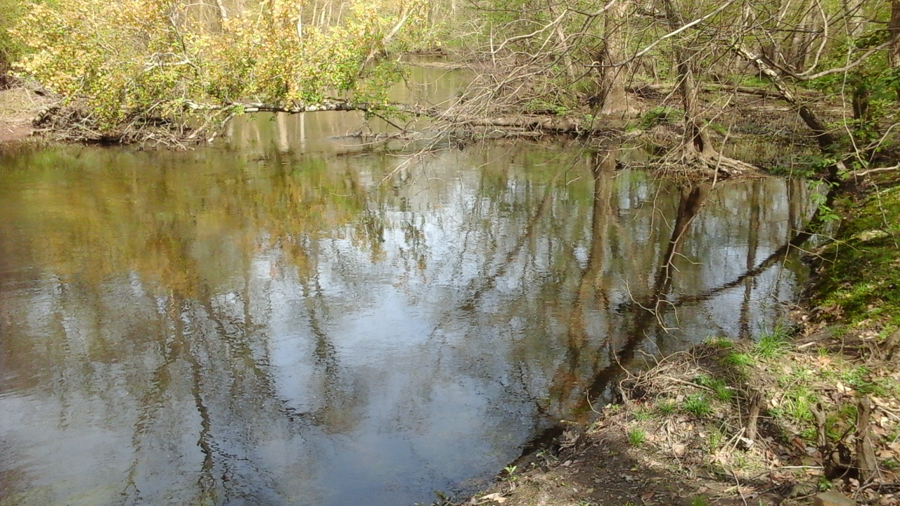 Holiday Park Campground