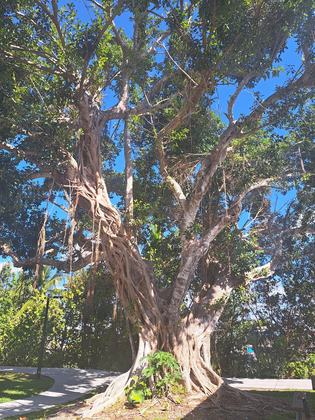 Mar-Good RV Park / Cottages Marina