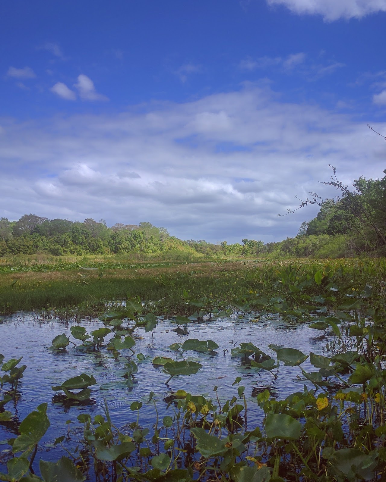 Lake Eaton NF Campground