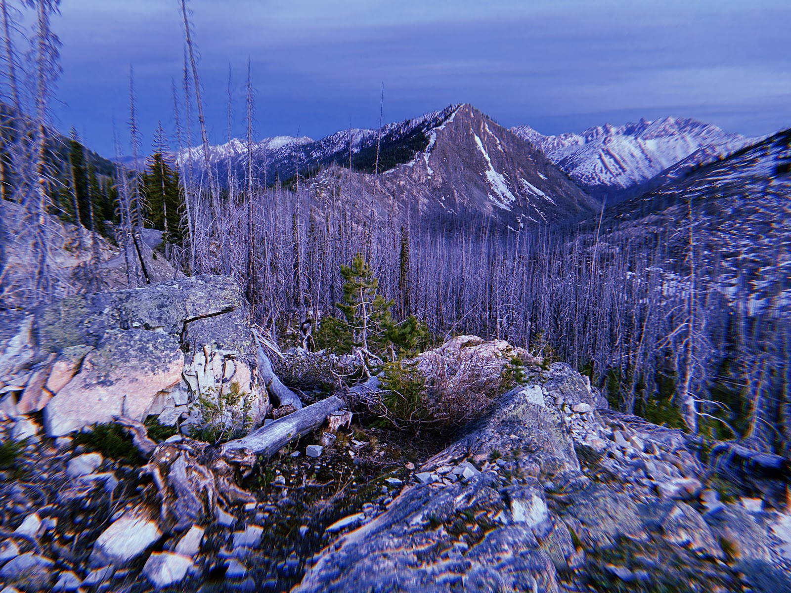 Harts Pass Campground