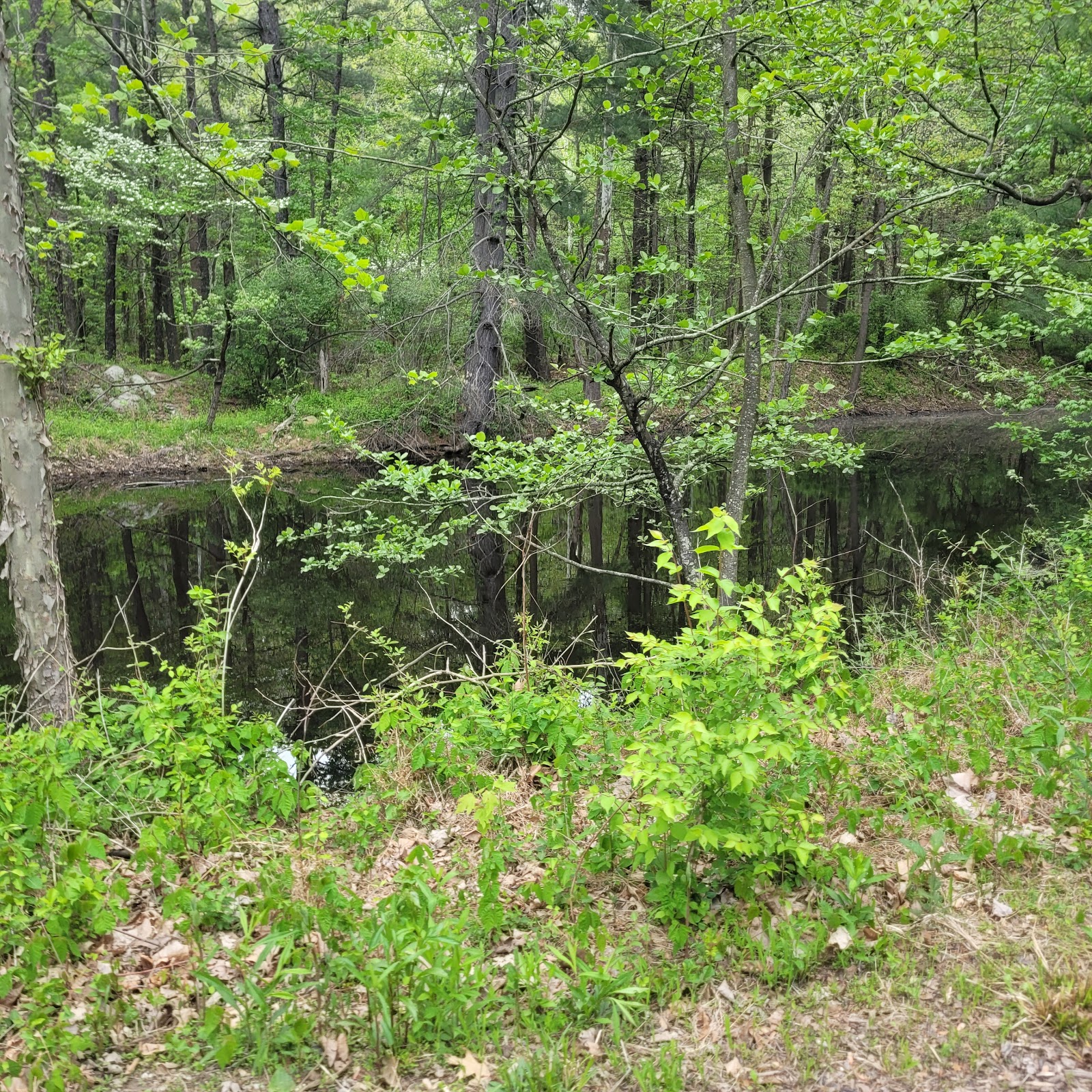 Lynnville Park Campground