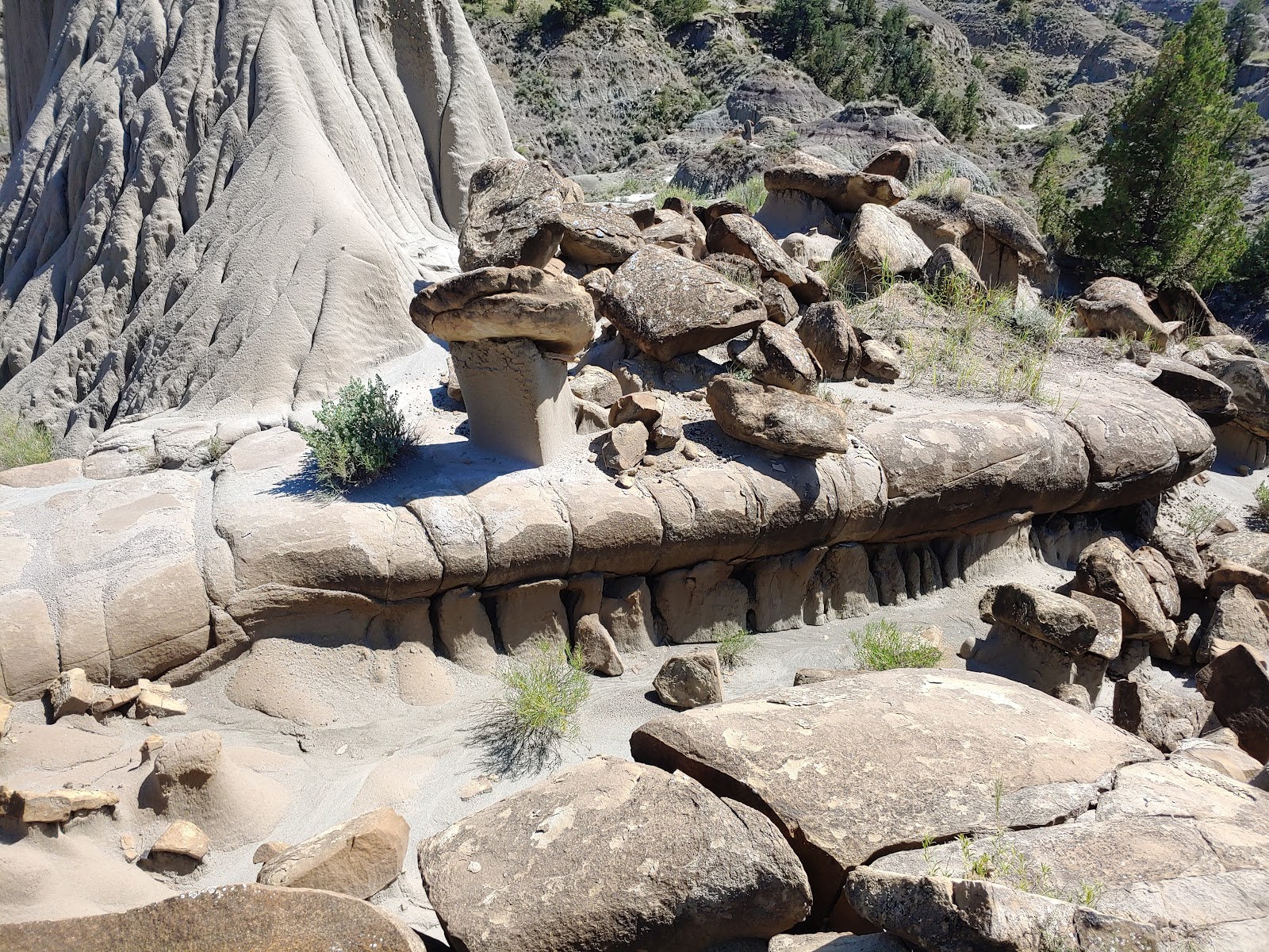 Makoshika State Park