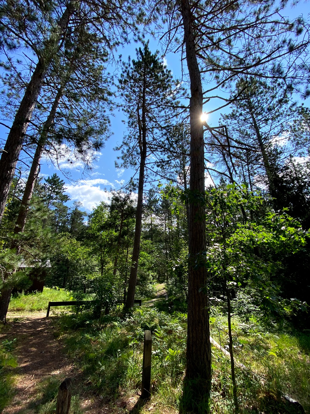 Canoe Harbor Campground