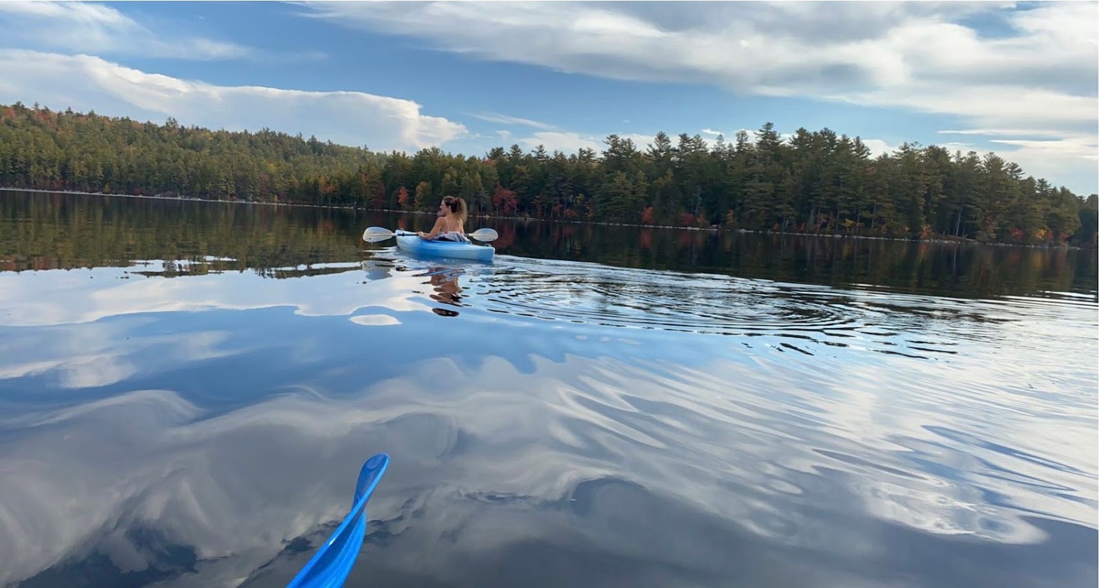 Wanderin Moose Campground