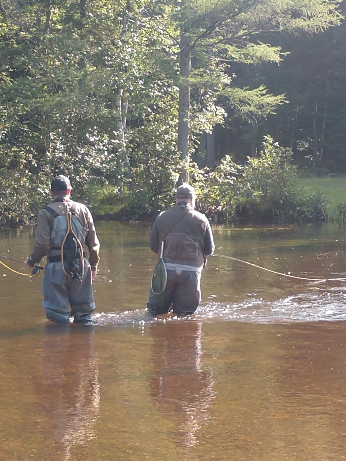 Burton’s Landing Campground