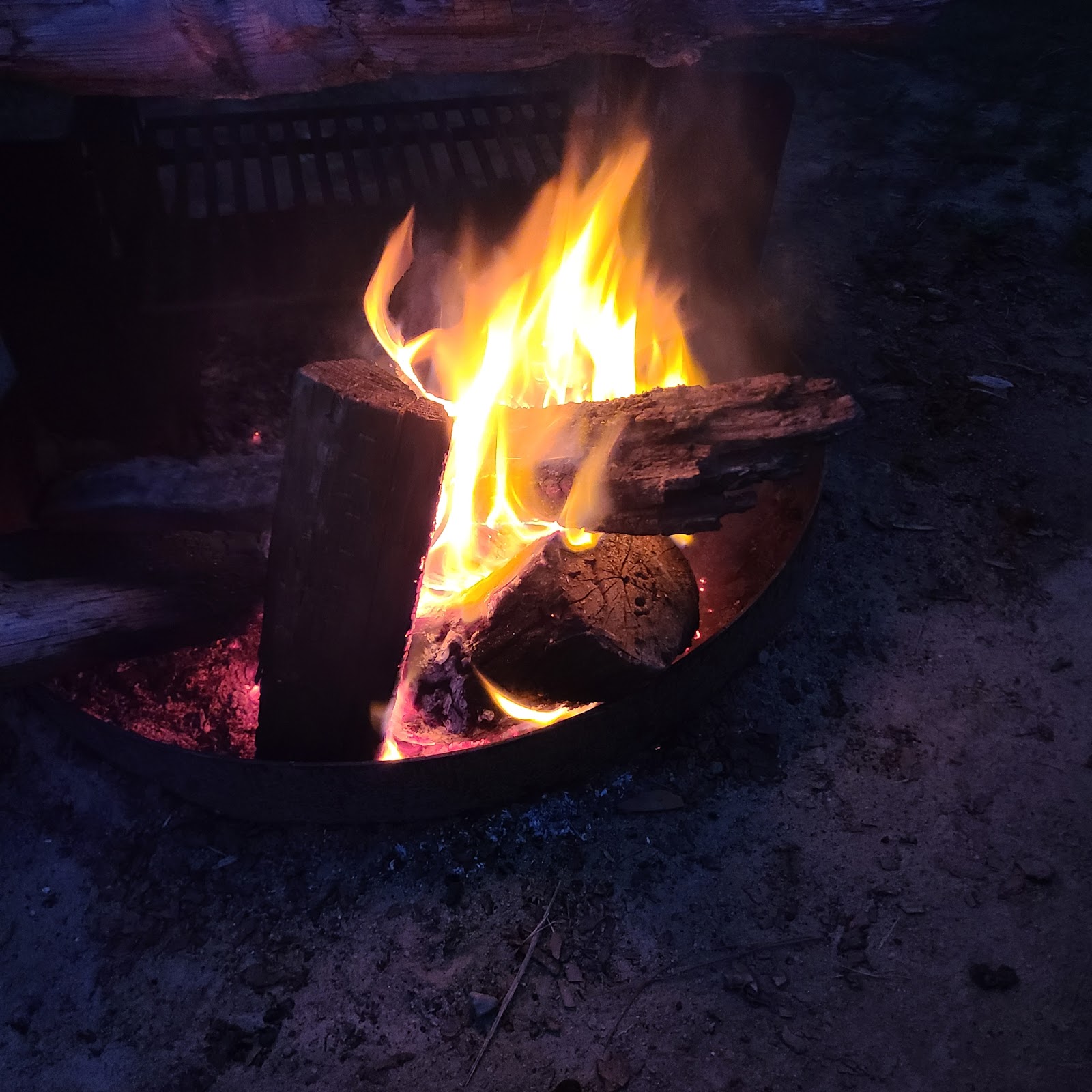 Lupine Cedar Bluff Campground