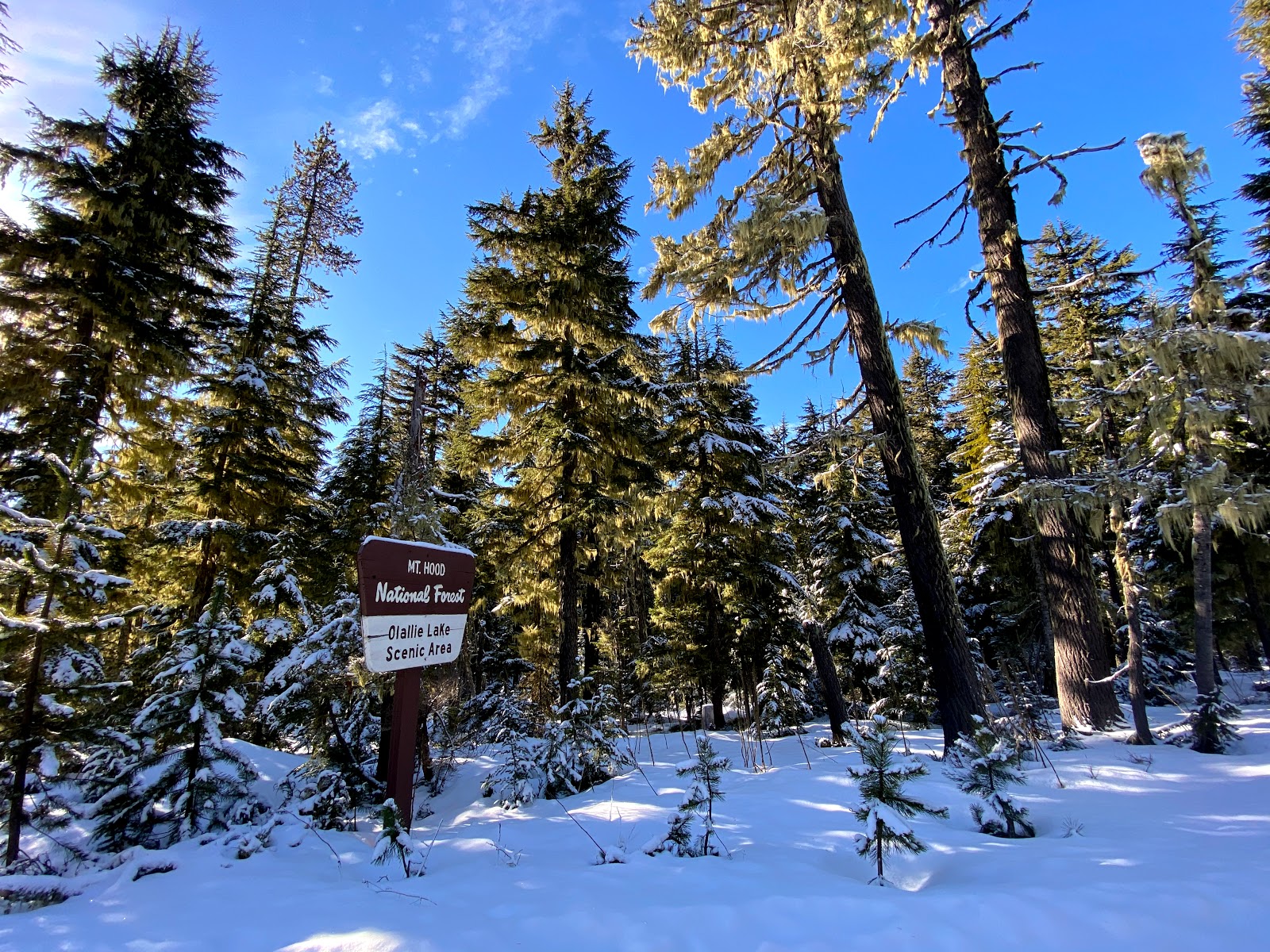 Peninsula (Olallie Lake) Campground